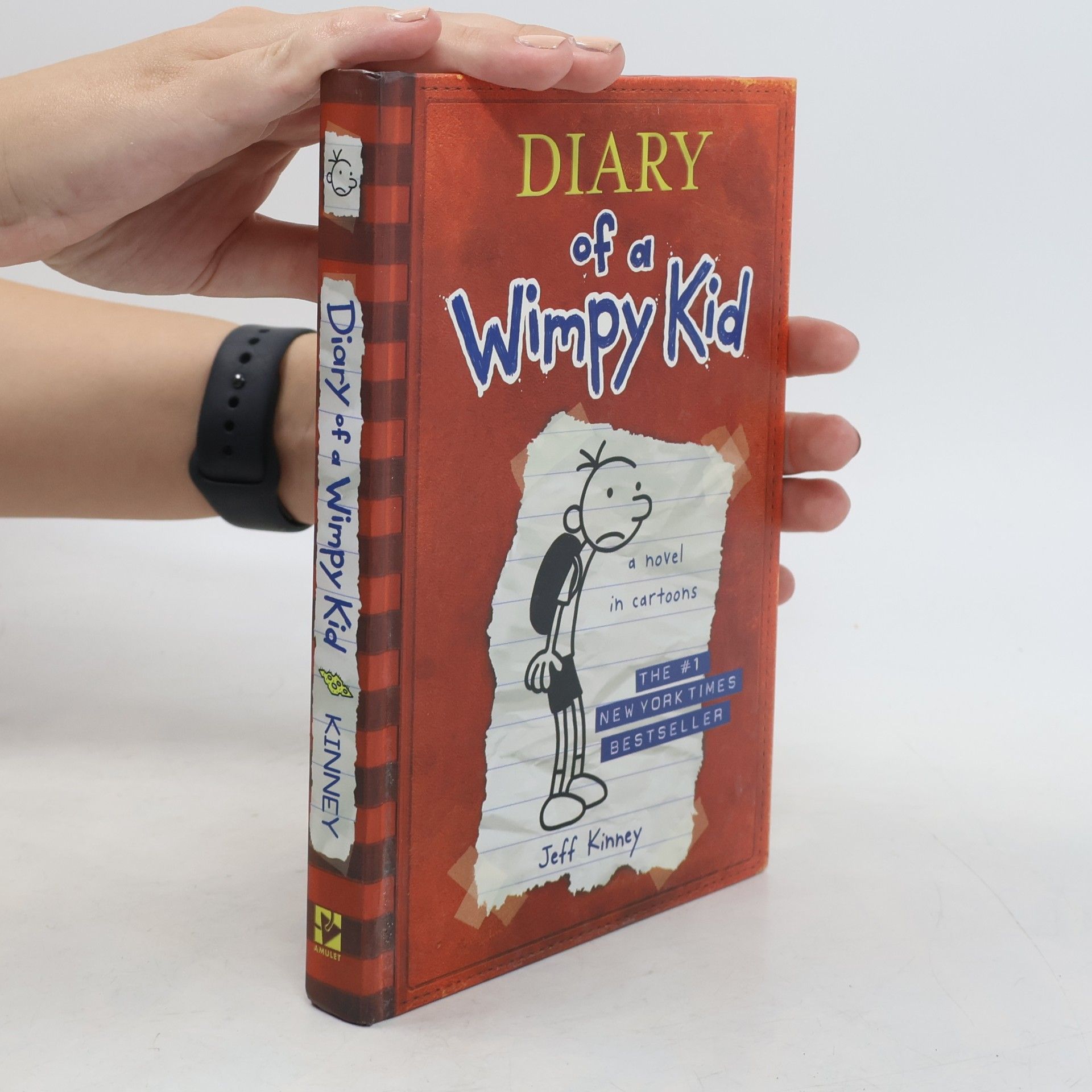 Jeff Kinney Diary of a Wimpy Kid 1