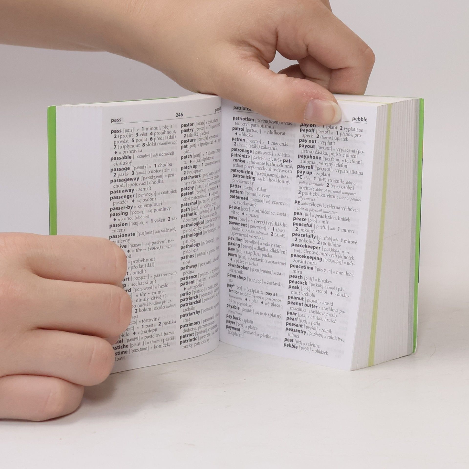 Various authors Anglicko-český, česko-anglický kapesní slovník