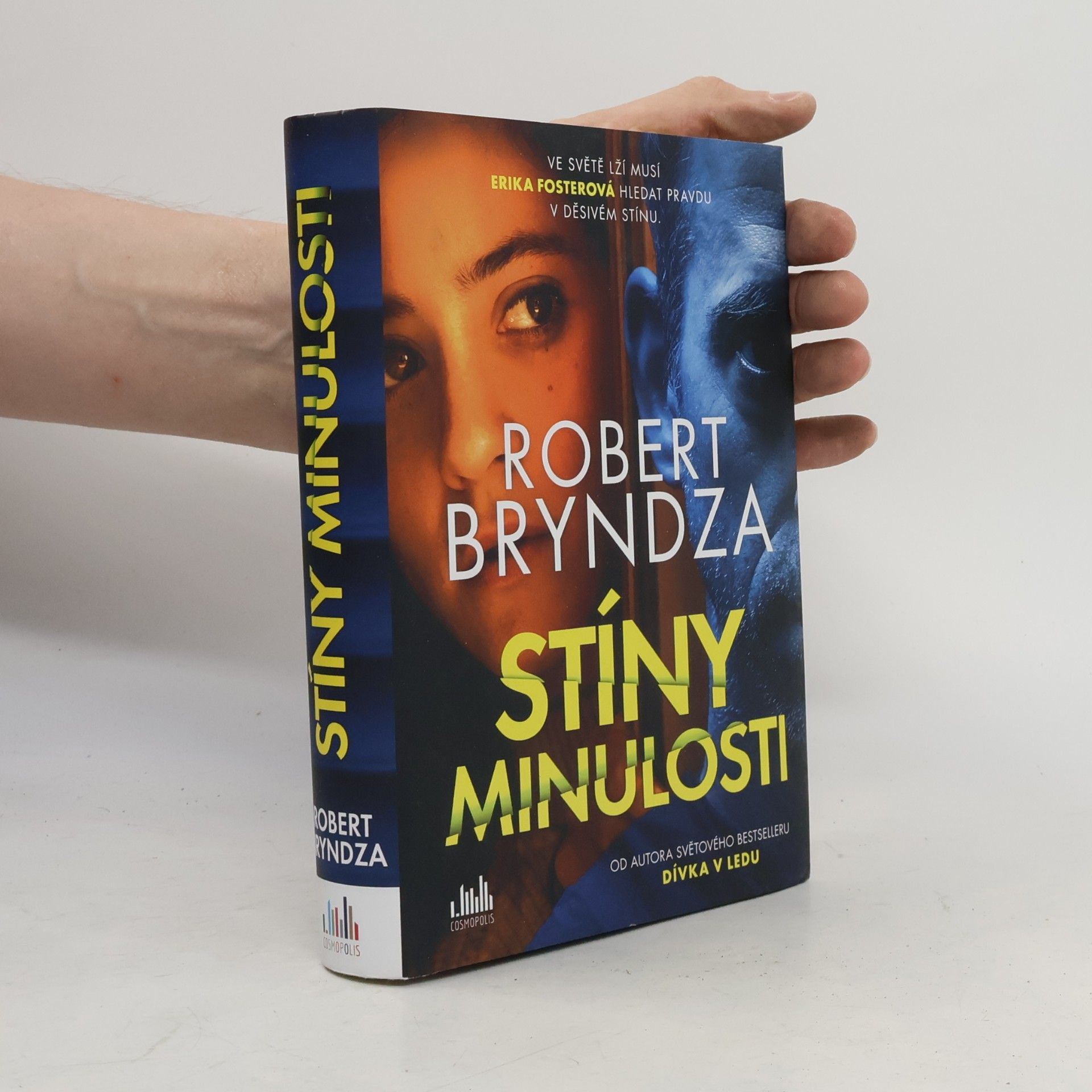 Robert Bryndza Stíny minulosti