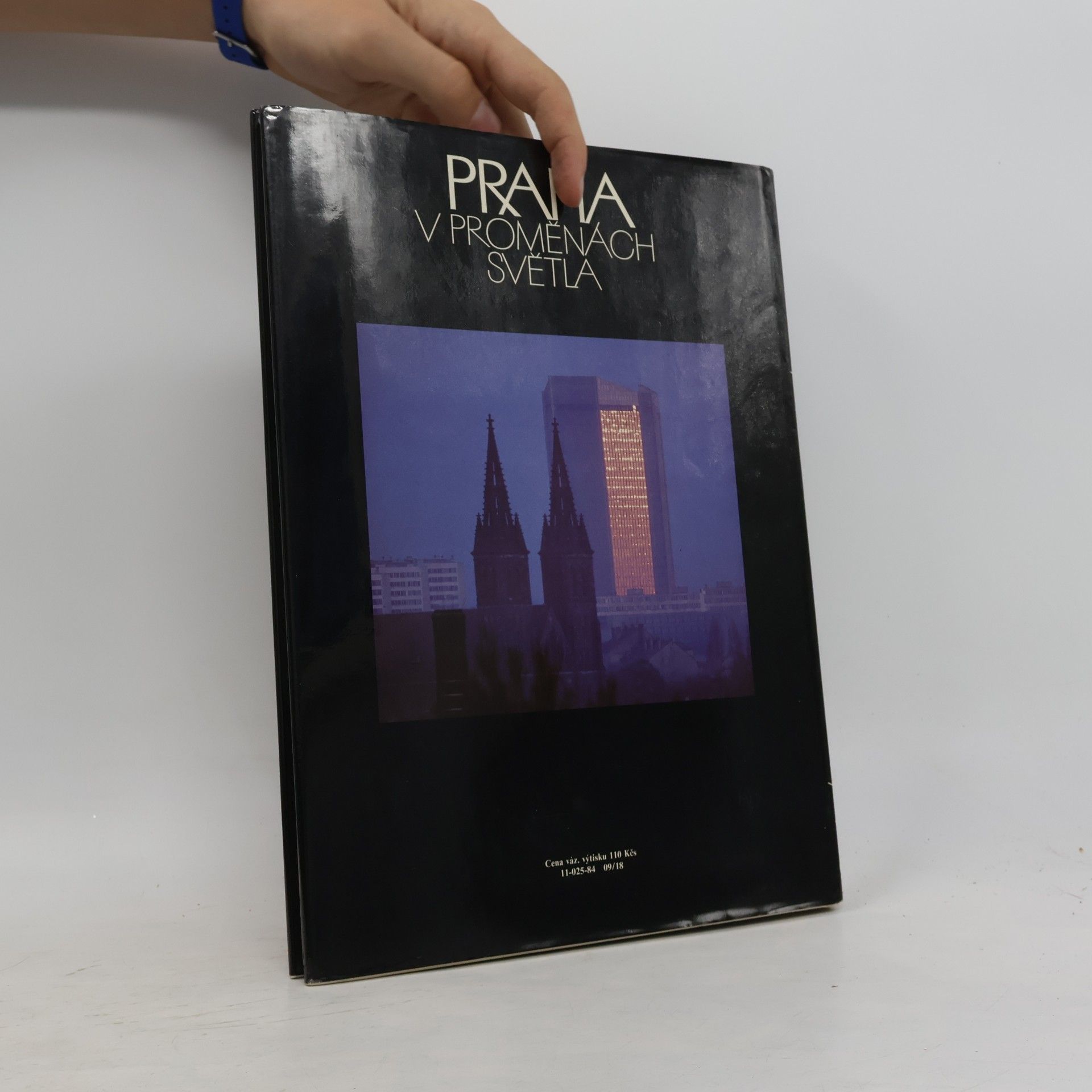 Josef Brukner Praha v proměnách světla