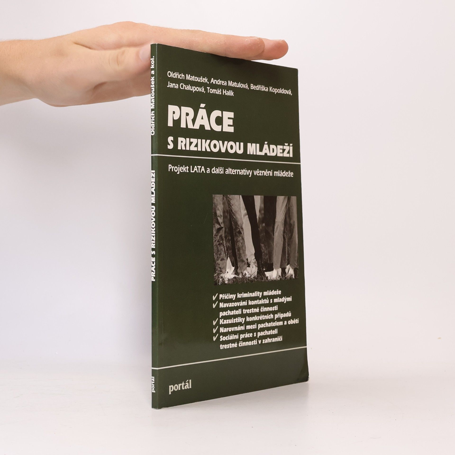Oldřich Matoušek Práce s rizikovou mládeží : projekt LATA a další alternativy věznění mládeže