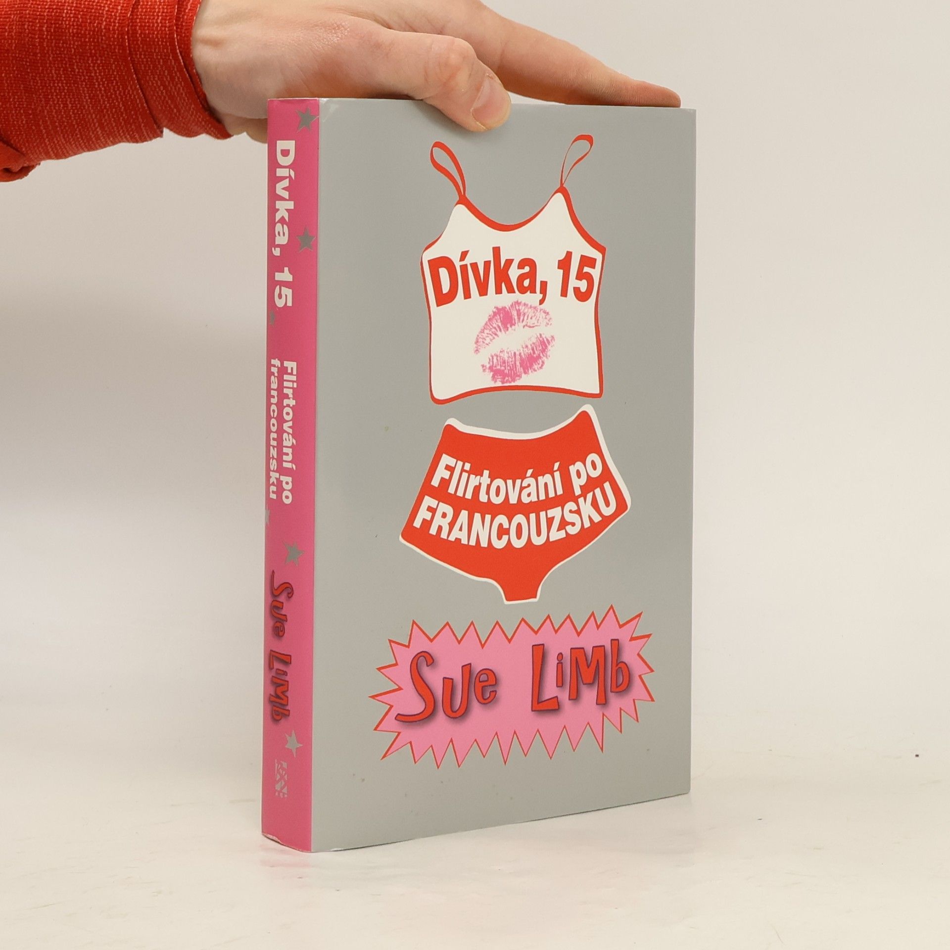 Sue Limb Dívka, 15 : flirtování po francouzsku