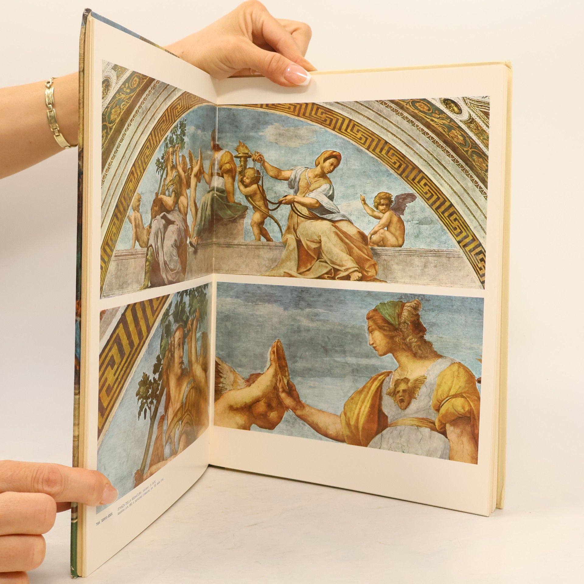 Autorenkollektiv L'Opera Completa di Raffaello. 4