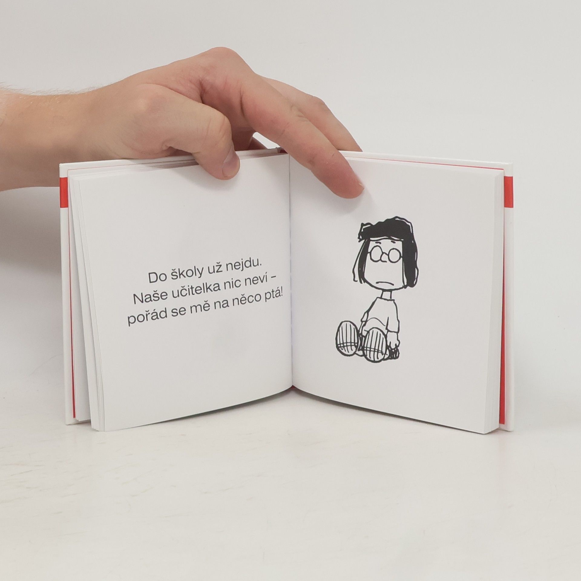 Charles M. Schulz Peanuts ve škole