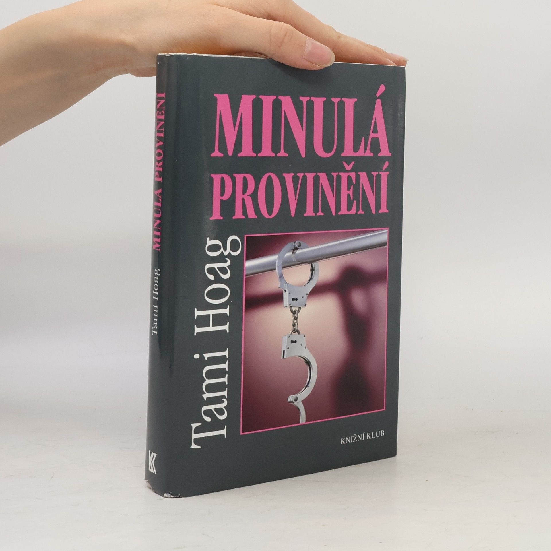 Tami Hoag Minulá provinění