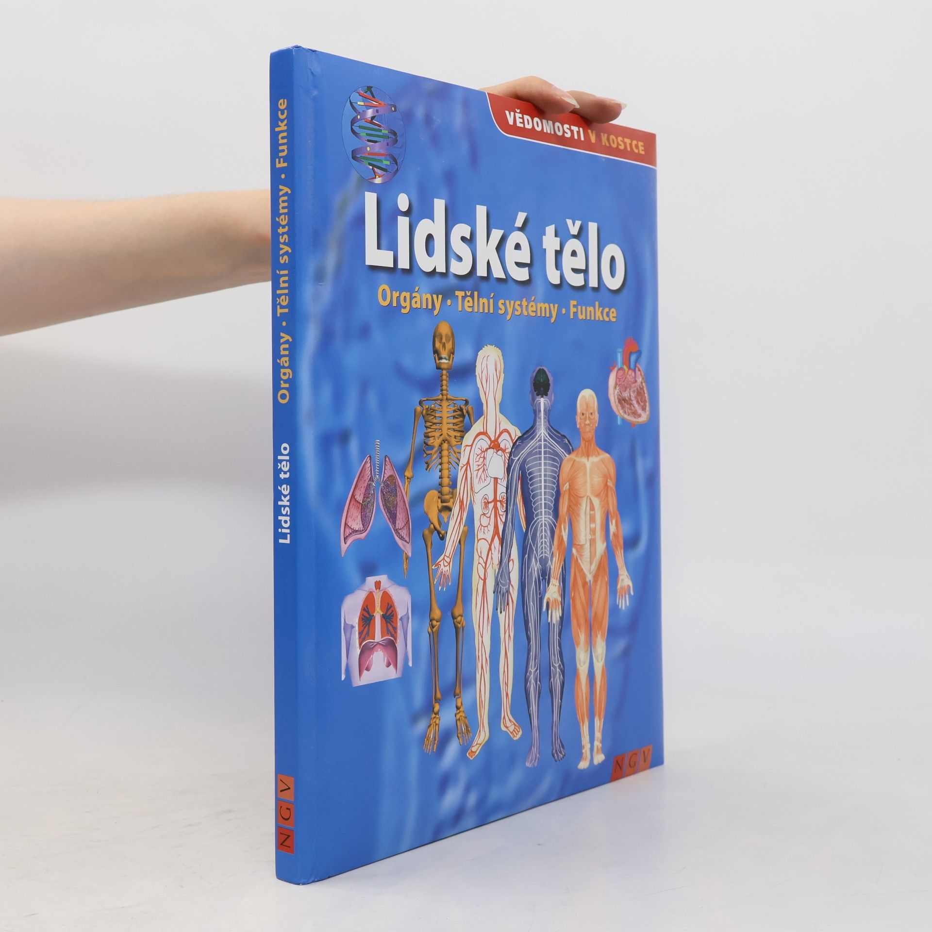 Autorenkollektiv Lidské tělo. Orgány. Tělní systémy. Funkce