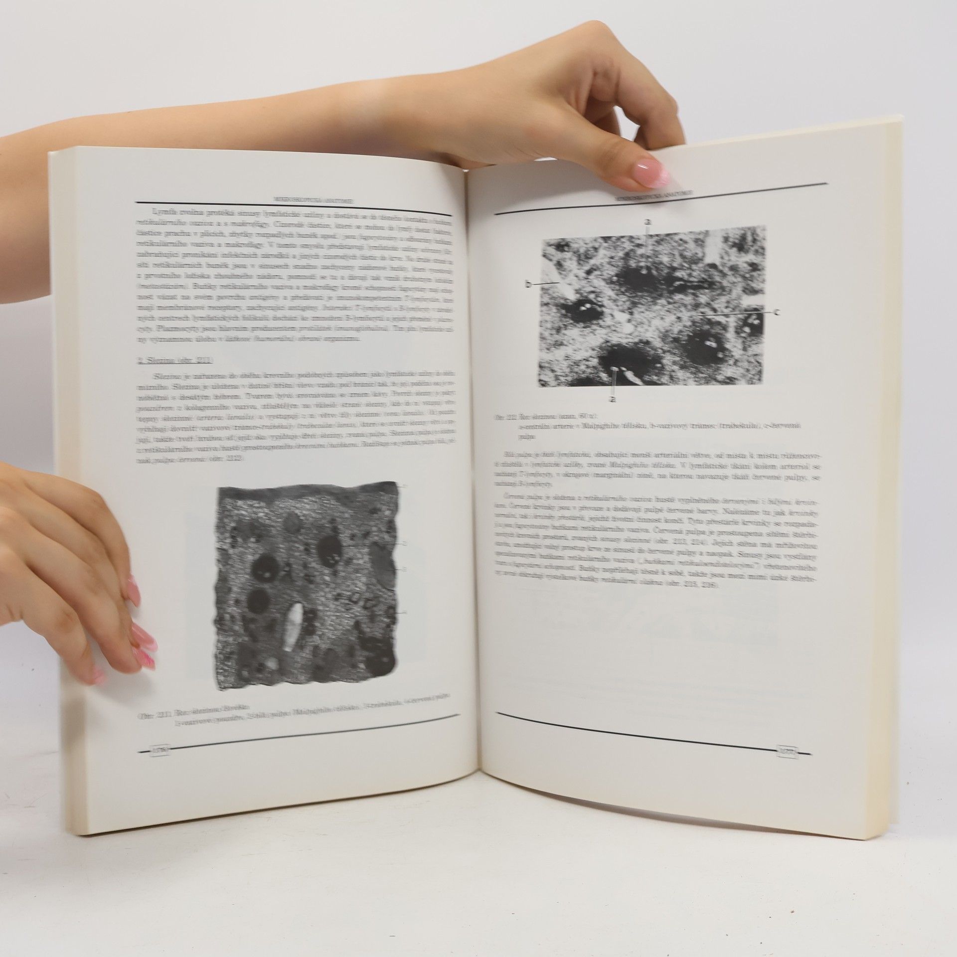 Zdeněk Vacek Histologie a histologická technika 1. část