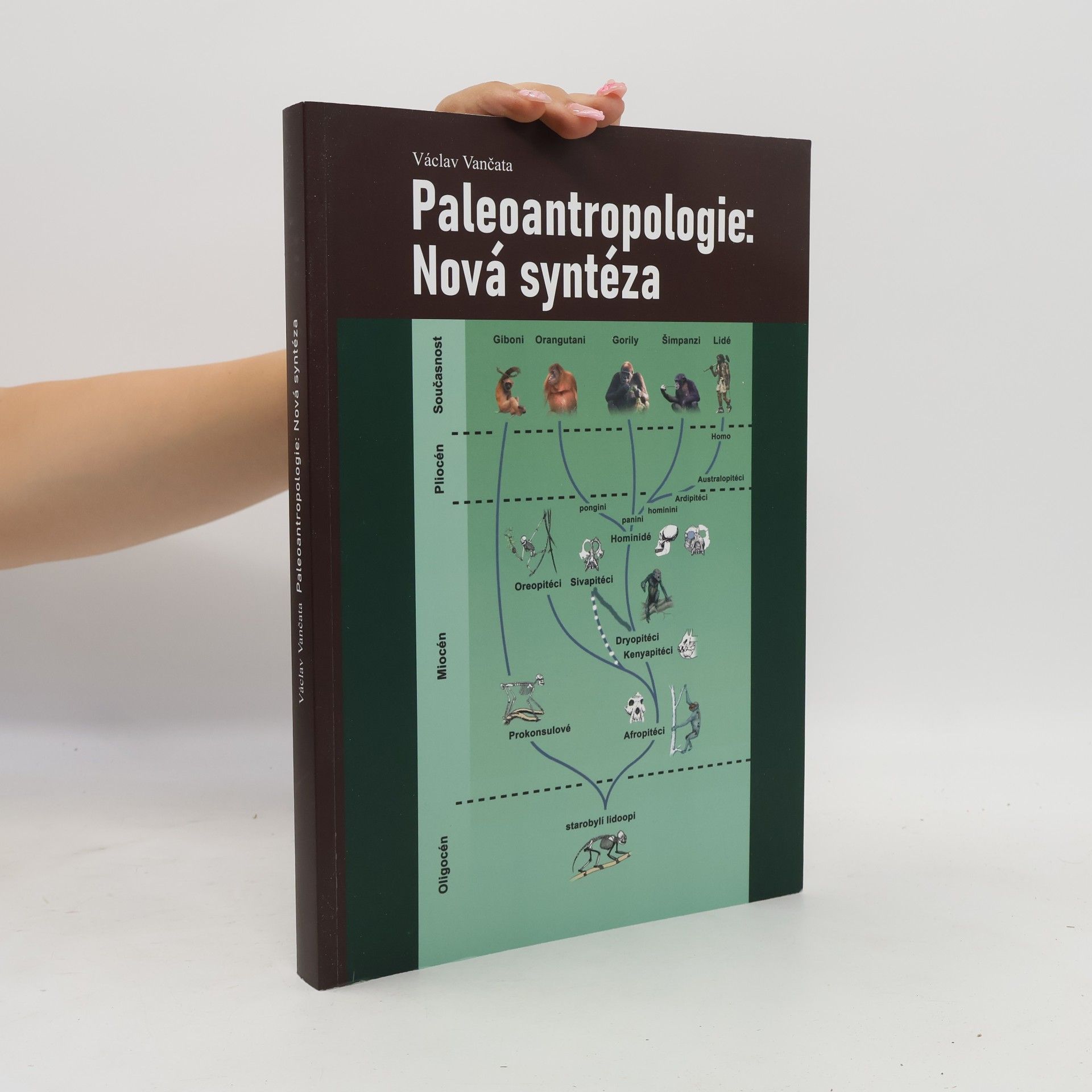 Václav Vančata Paleoantropologie: Nová syntéza