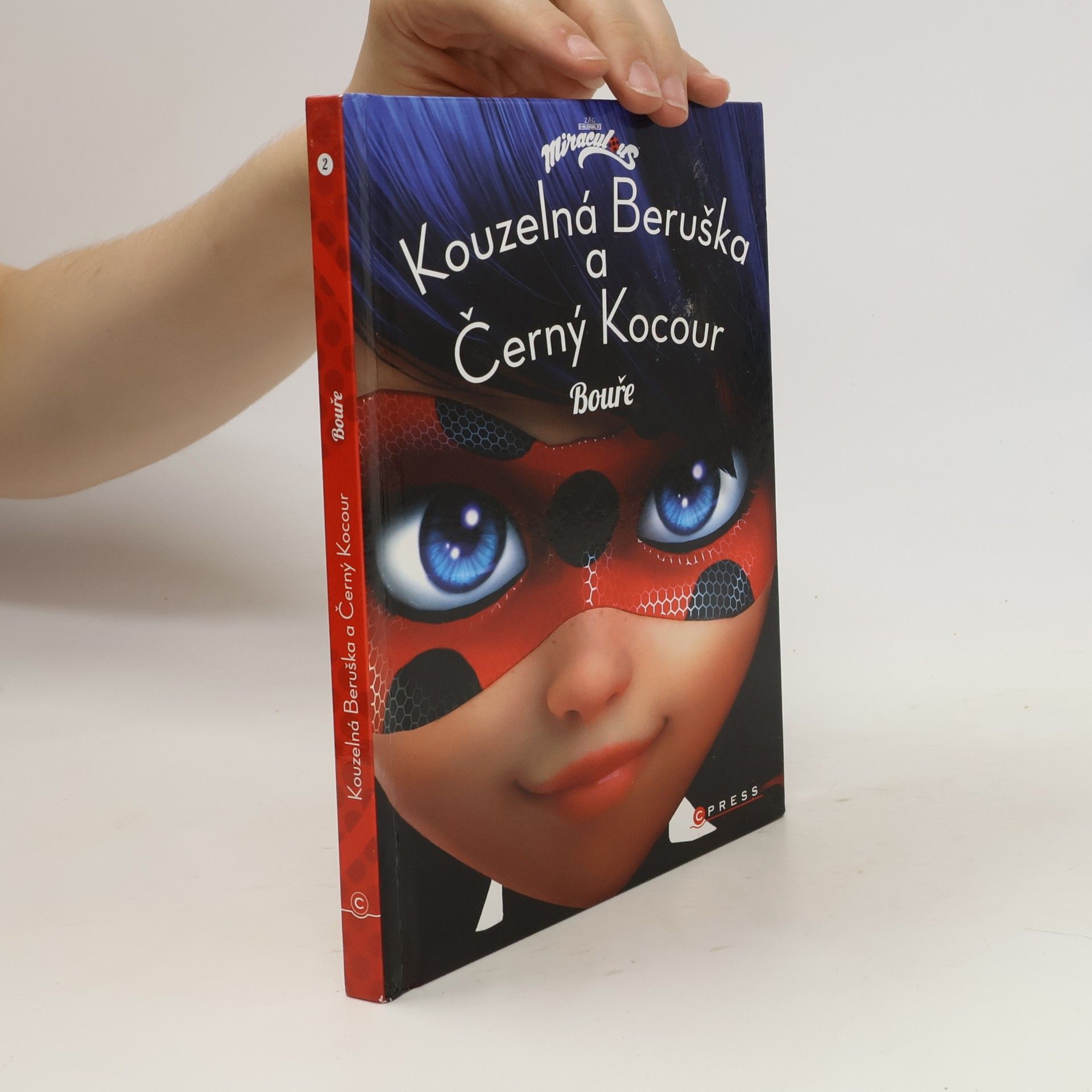 Kateřina Hošková Kouzelná Beruška a Černý Kocour. Bouře