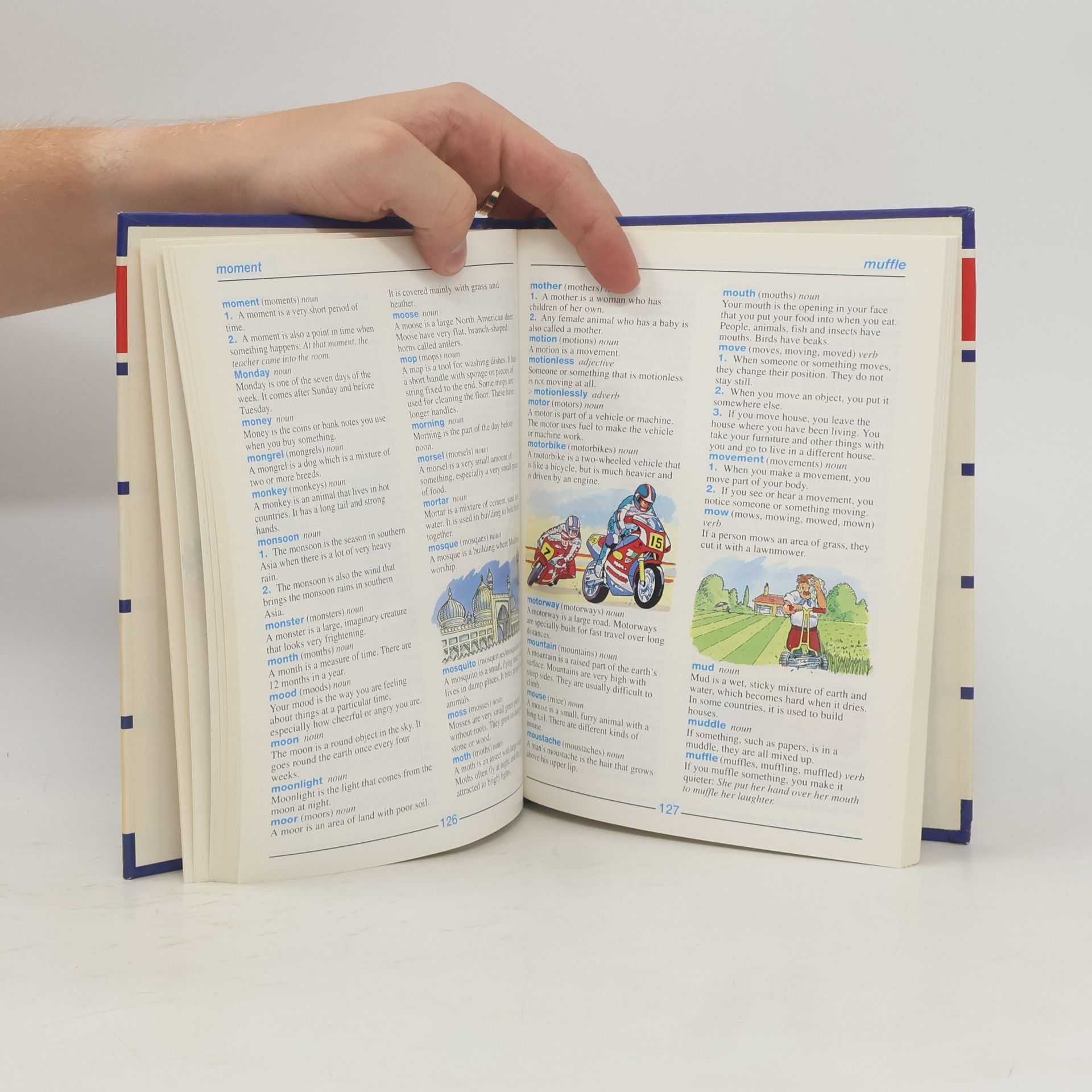 Evelyn Goldsmith Collins Illustrated Children's Dictionary