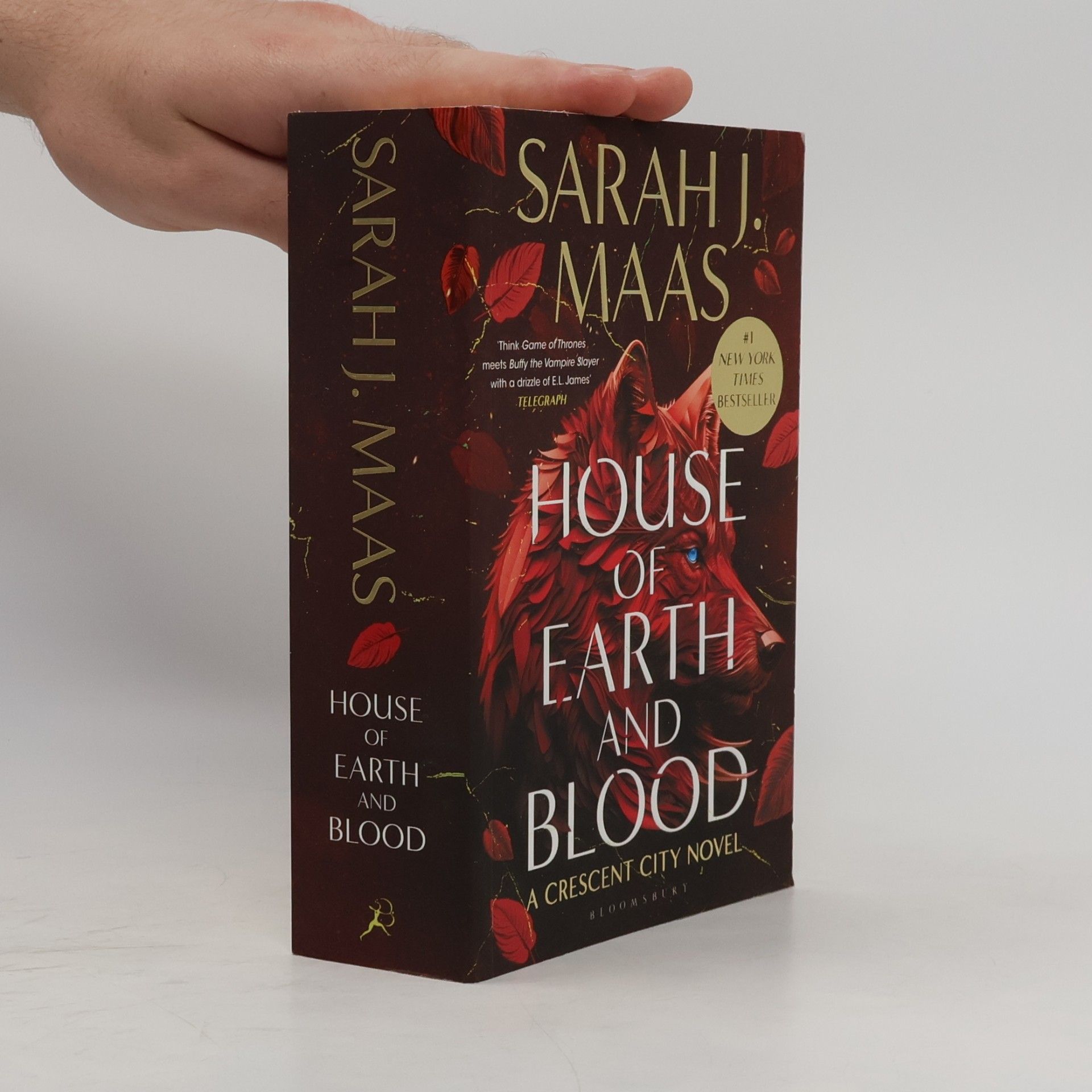 Sarah J. Maas House of Earth and Blood