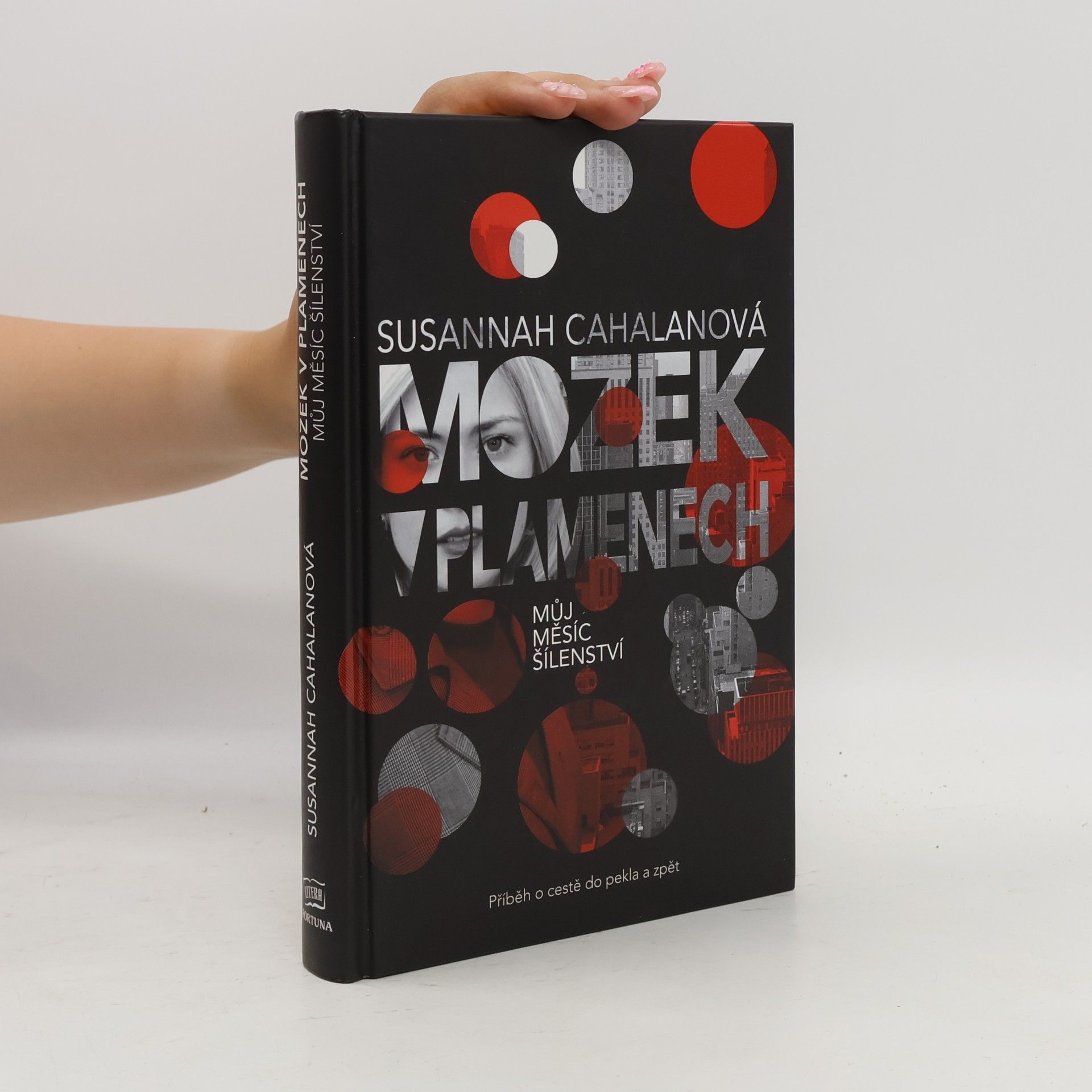 Susannah Cahalan Mozek v plamenech : můj měsíc šílenství
