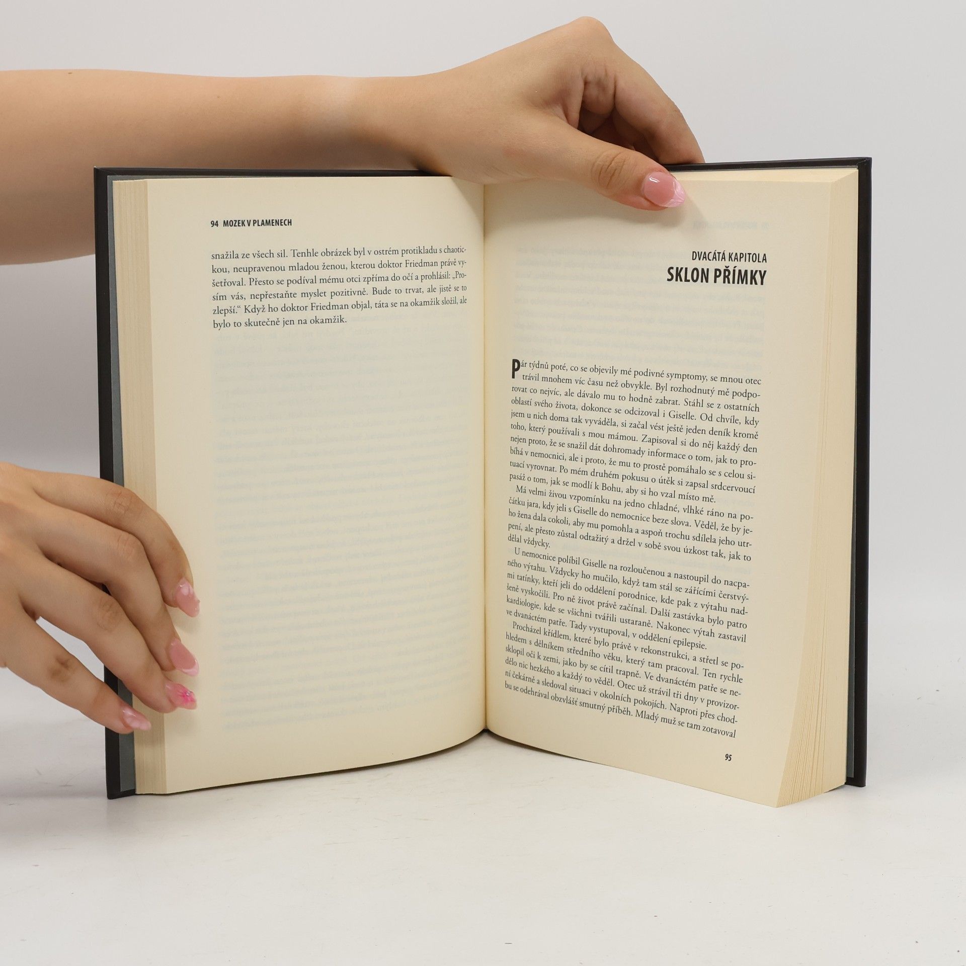 Susannah Cahalan Mozek v plamenech : můj měsíc šílenství