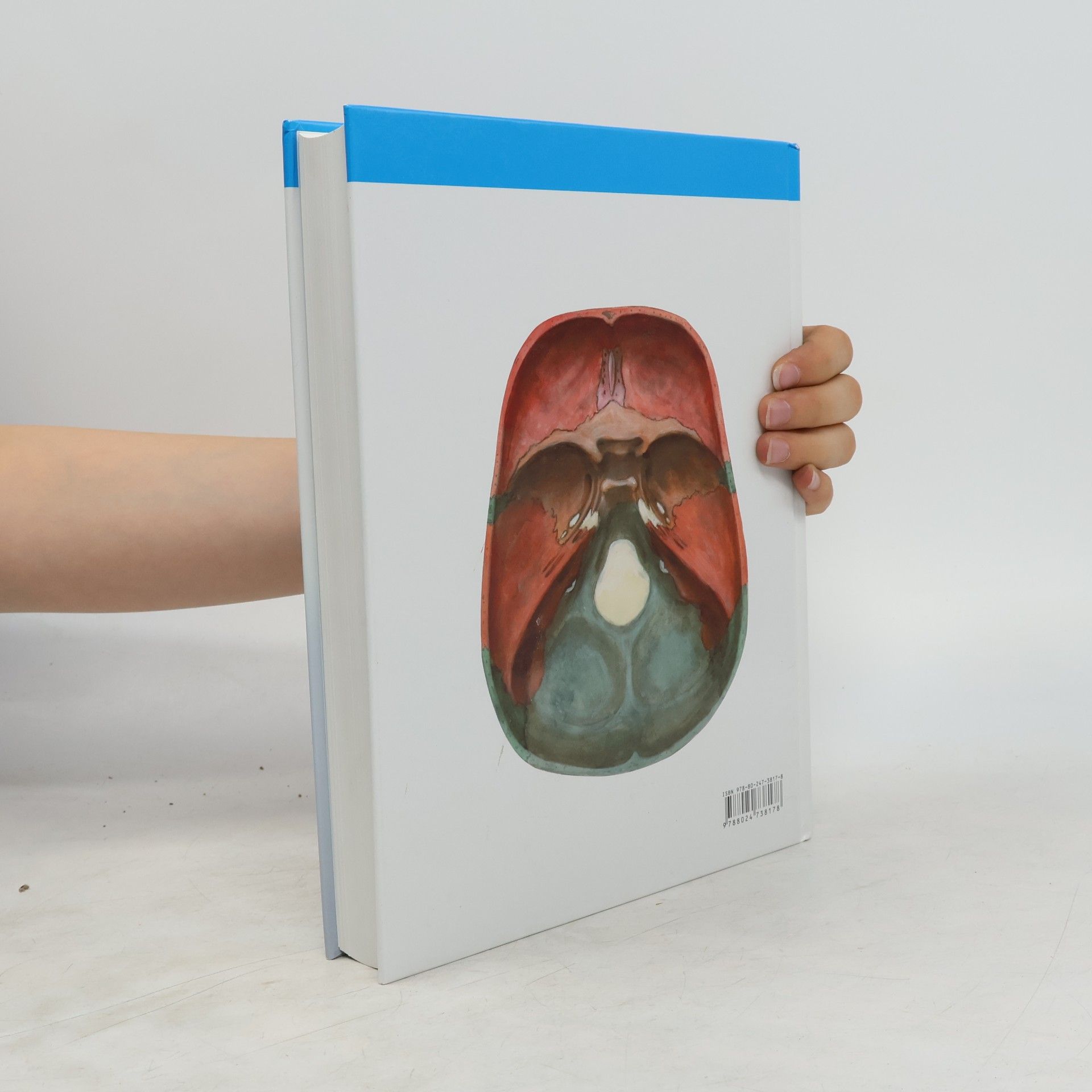 Oldřich Fejfar Anatomie 1