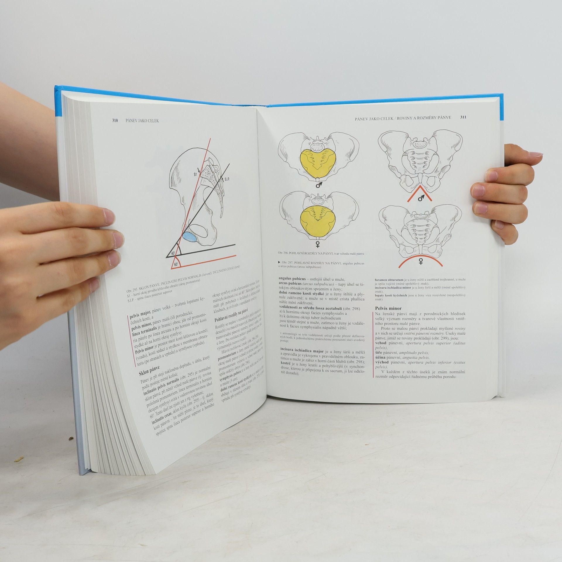 Oldřich Fejfar Anatomie 1