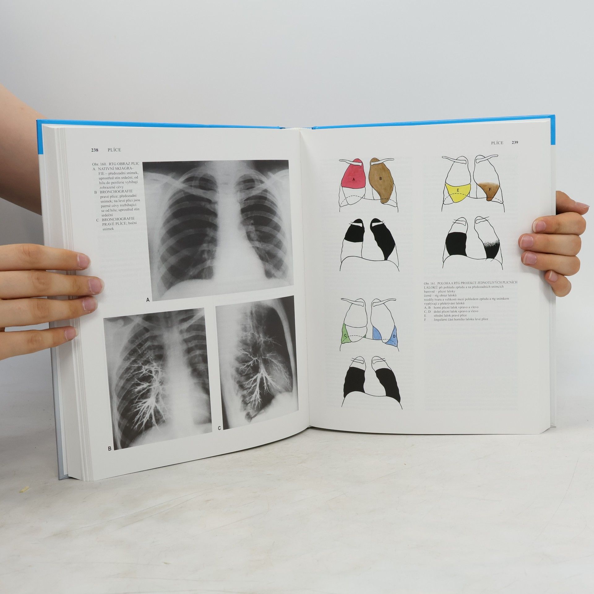 Radomír Čihák Anatomie 2