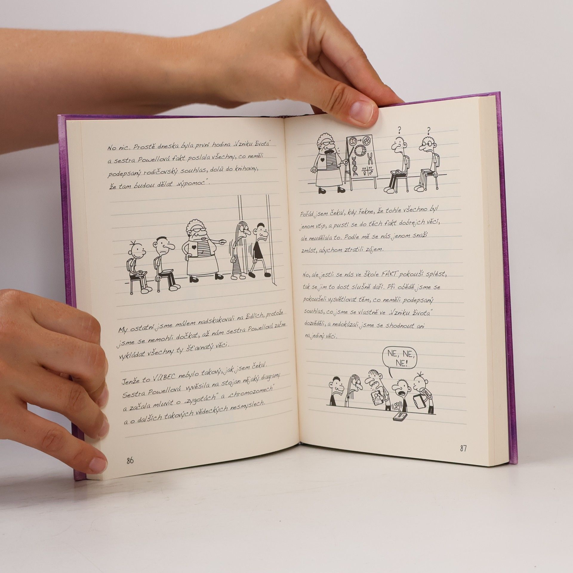 Jeff Kinney Deník malého poseroutky 5. Ošklivá pravda