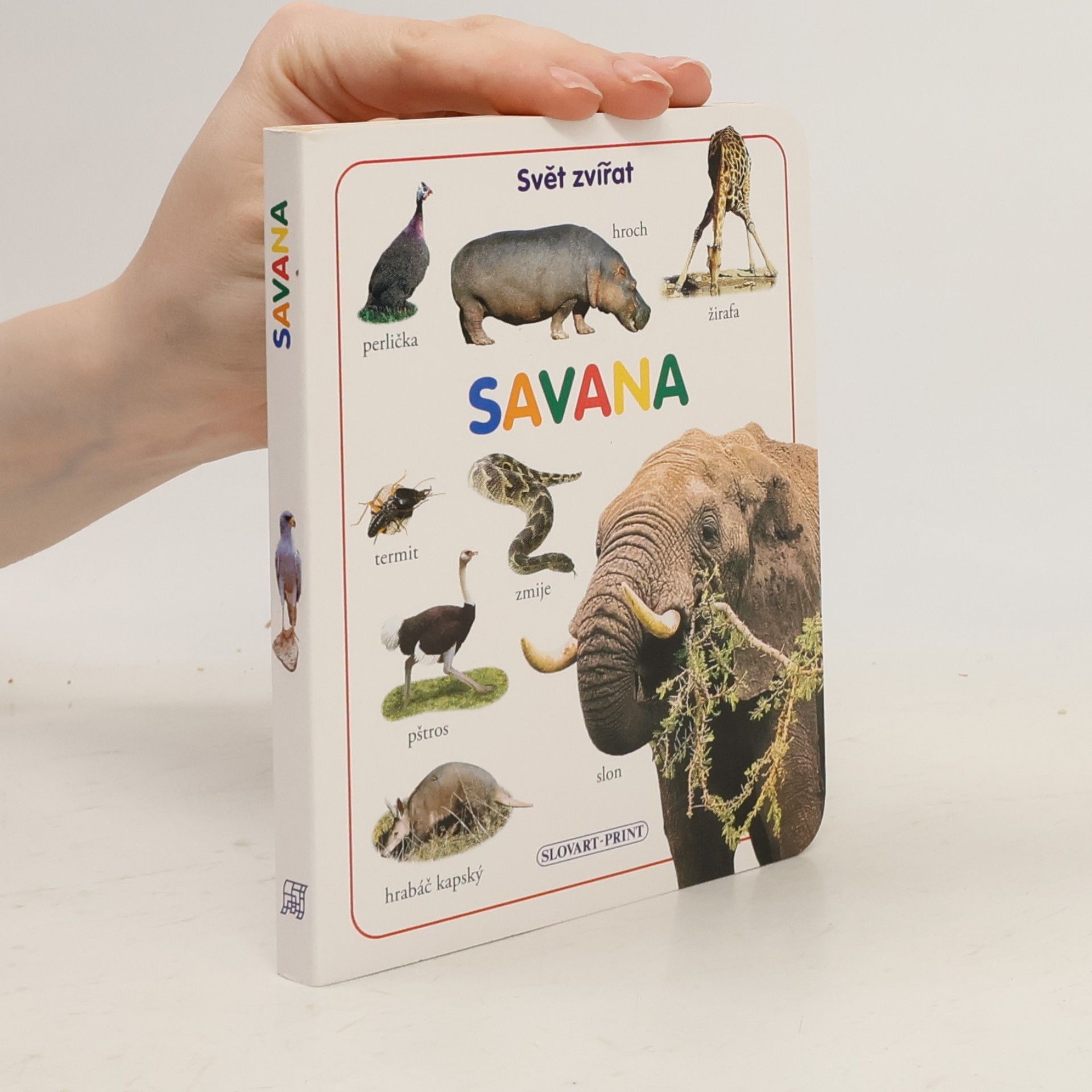 Kolektív autorov Savana