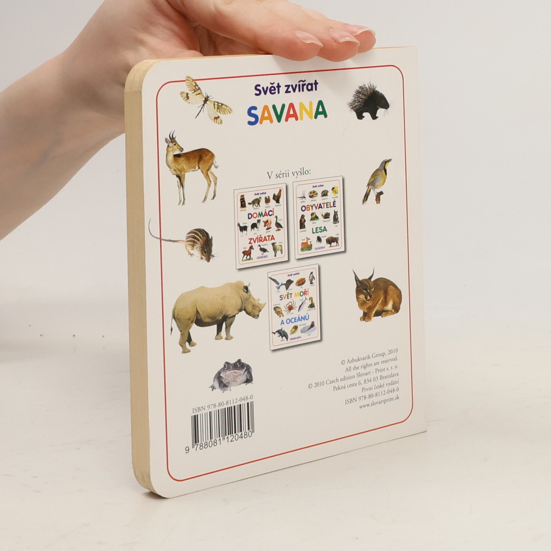 Kolektiv autorů Savana