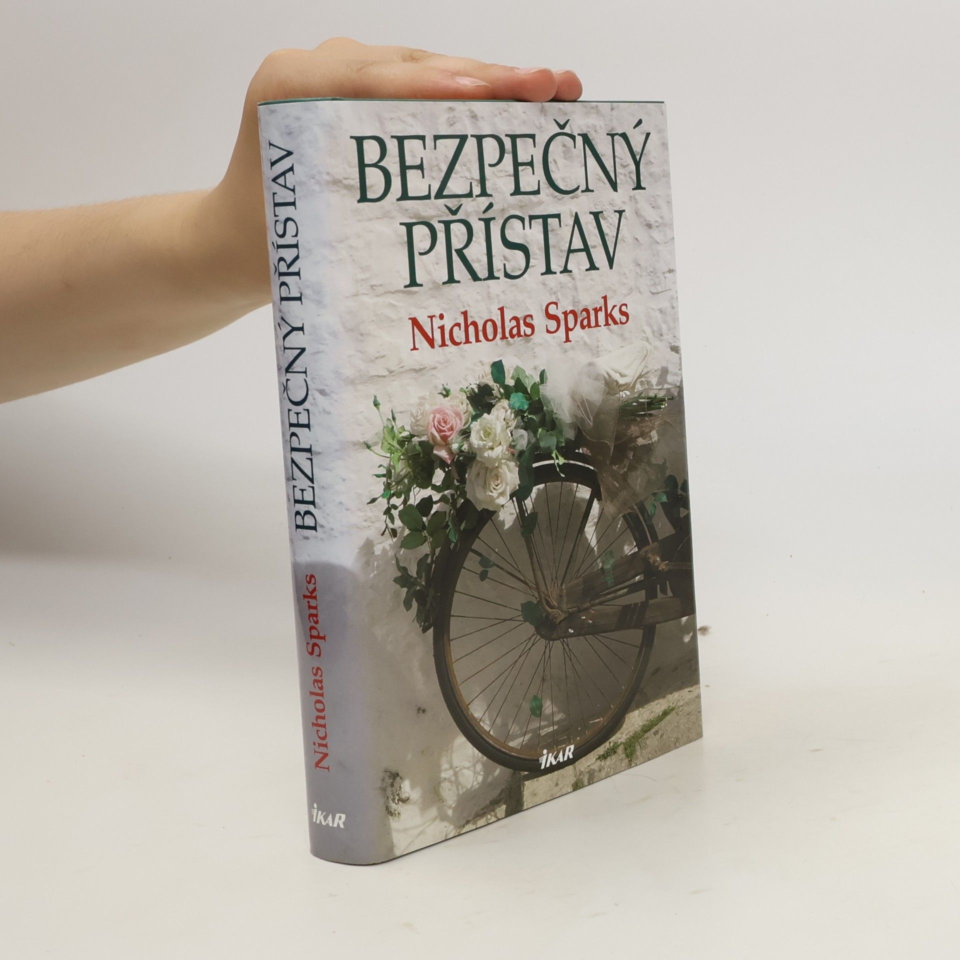 Nicholas Sparks Bezpečný přístav