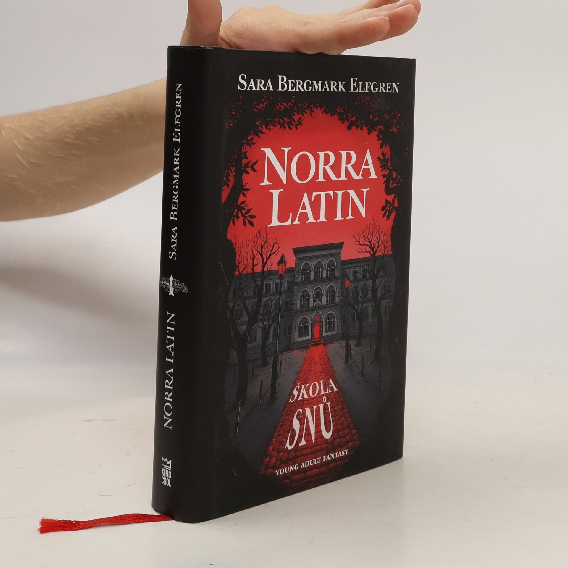 Sara Bergmark Elfgren Norra Latin. Škola snů