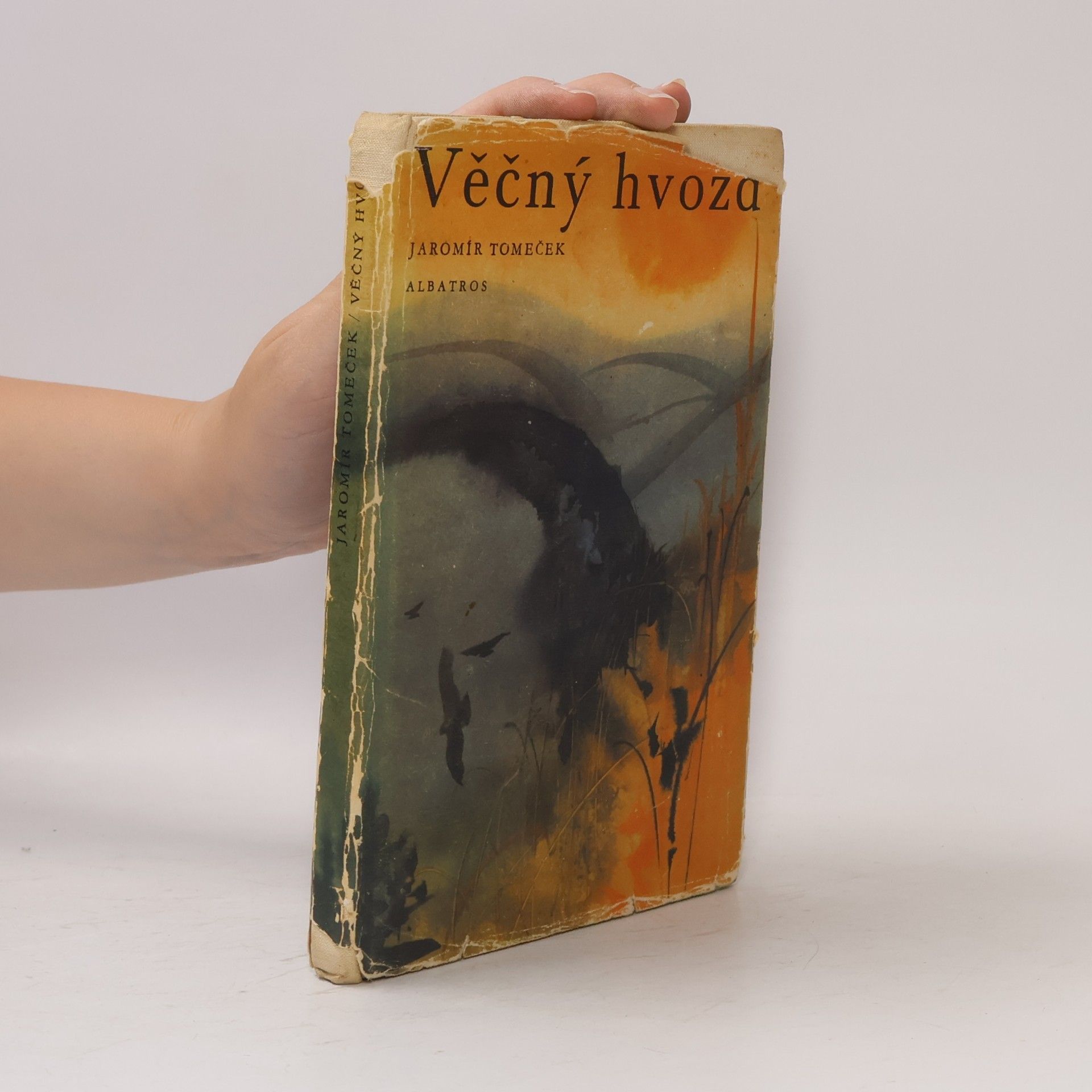 Jaromír Tomeček Věčný hvozd
