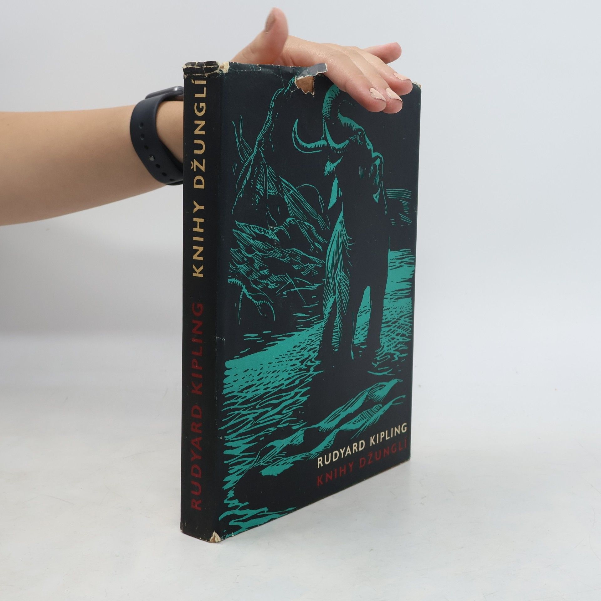 Rudyard Kipling Knihy džunglí