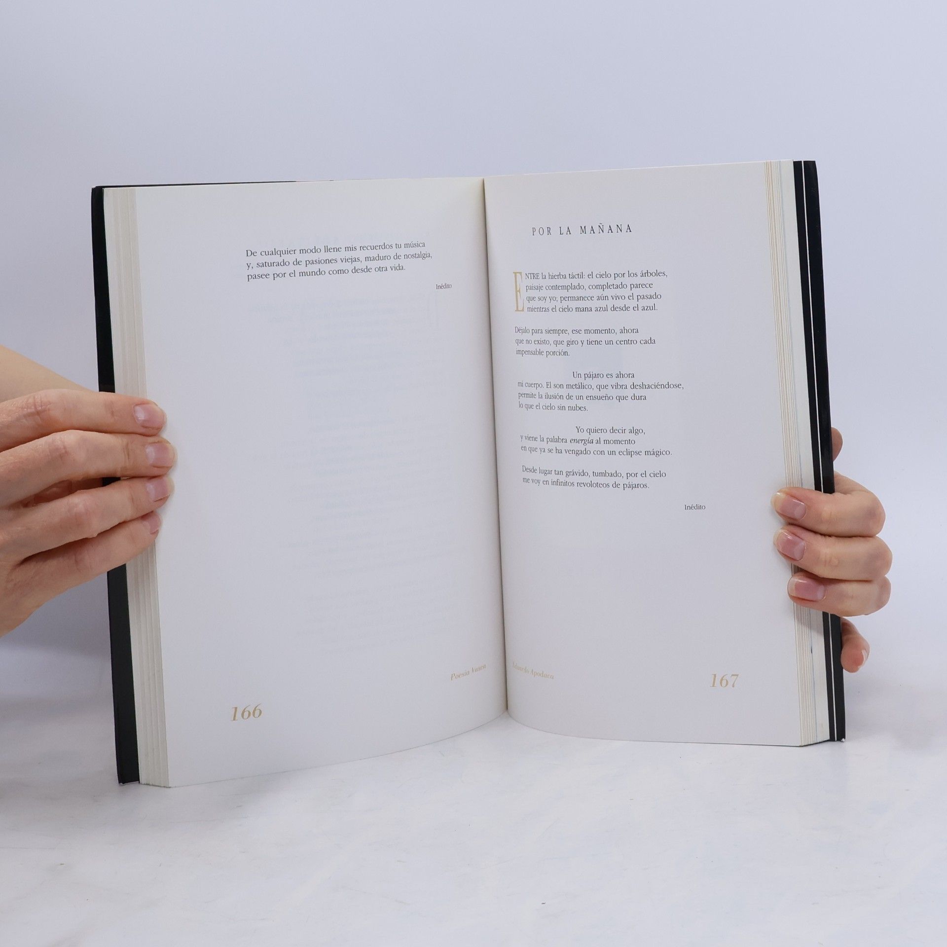 Autorenkollektiv Poesía vasca contemporánea