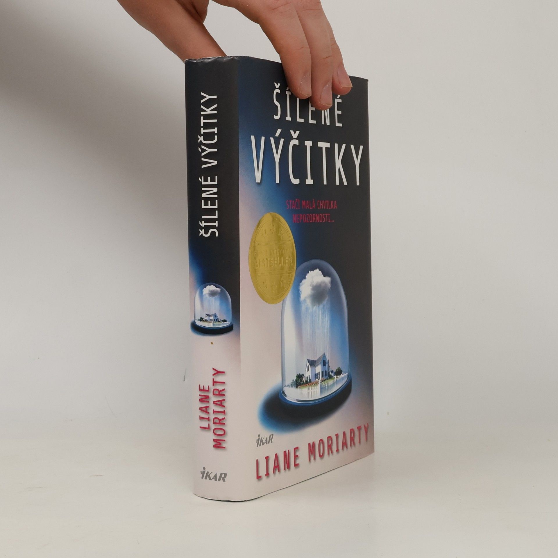 Liane Moriarty Šílené výčitky
