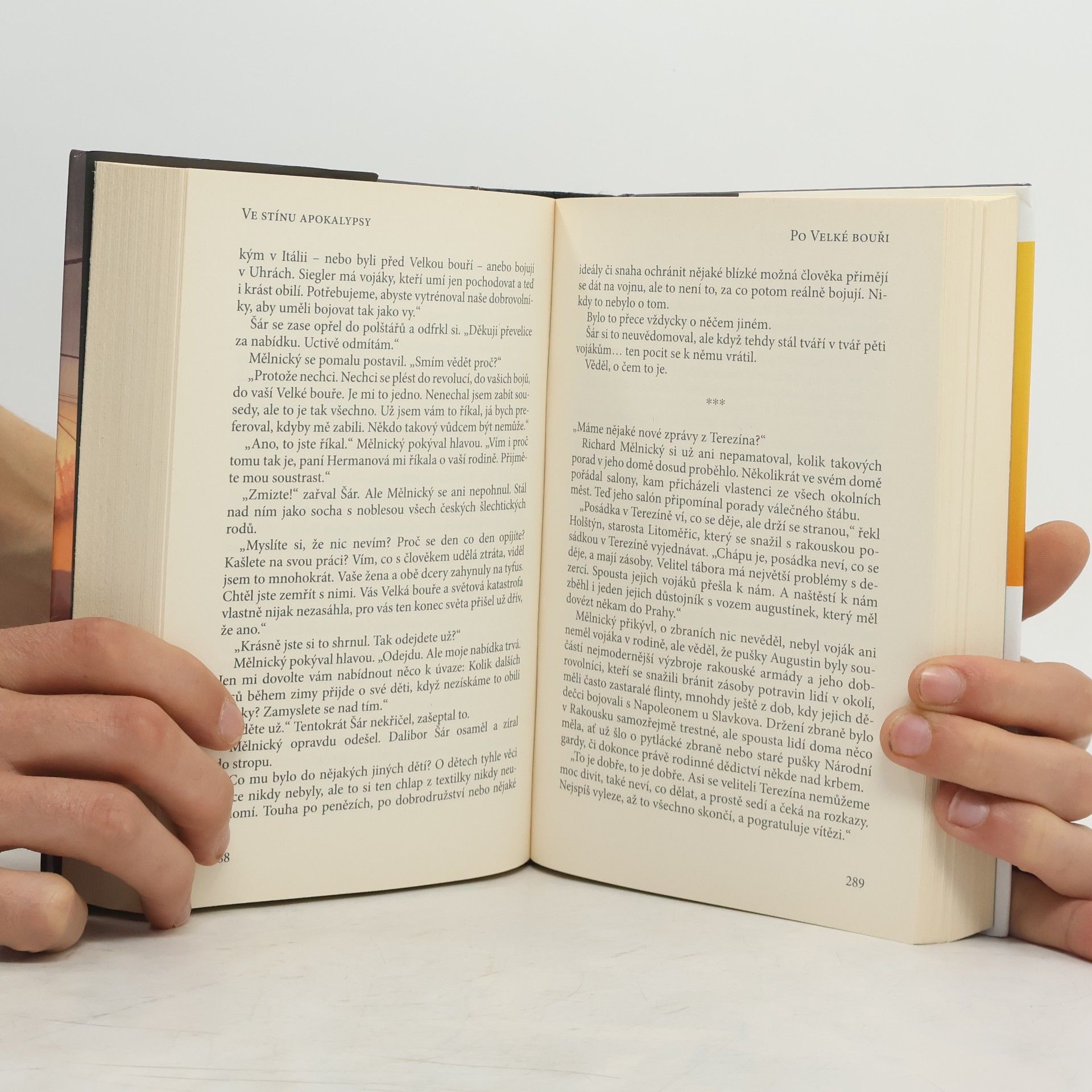 Autorenkollektiv Ve stínu apokalypsy: Antologie české fantastiky