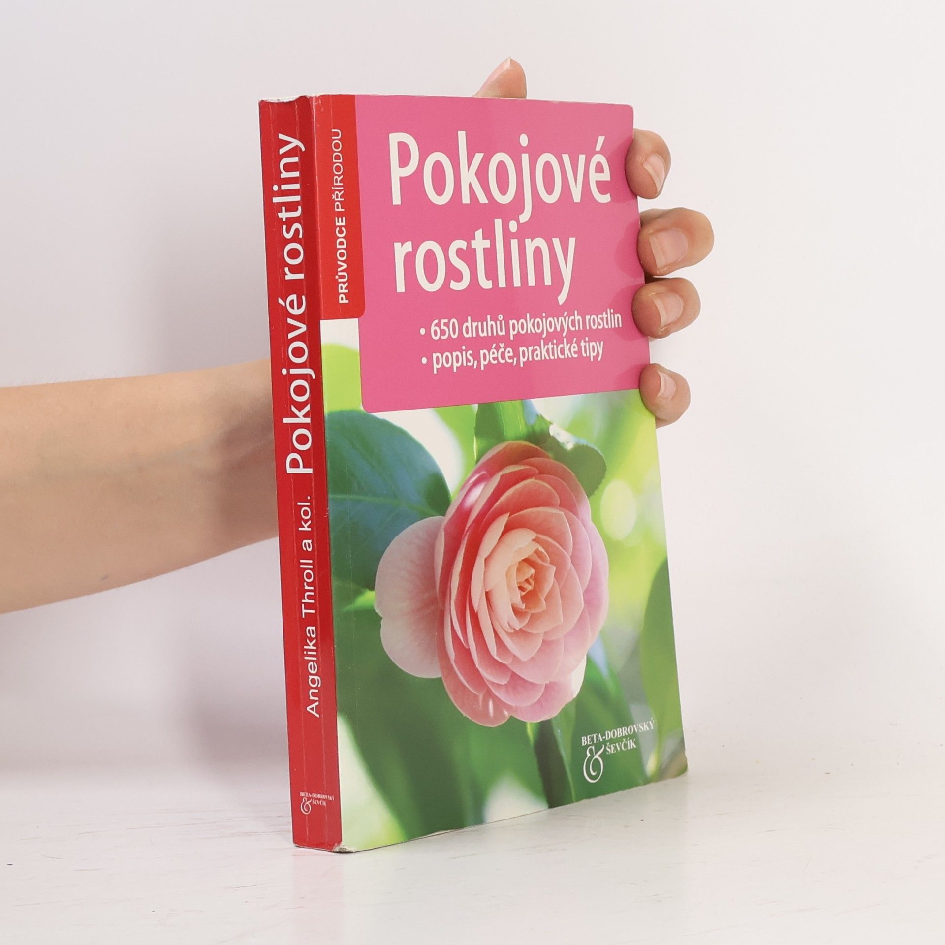 Angelika Throll Pokojové rostliny