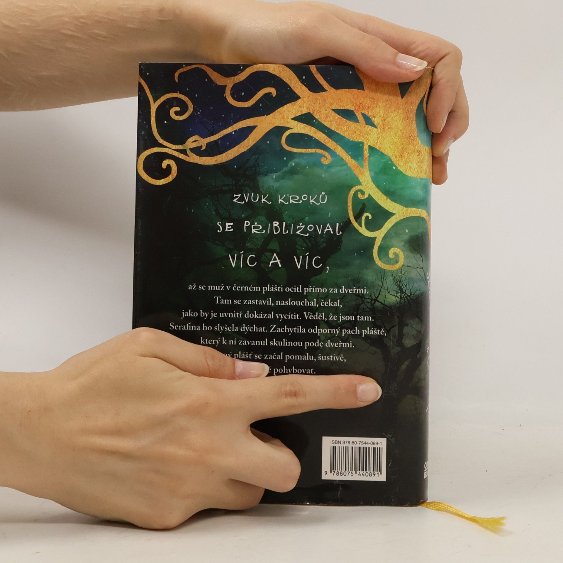 Robert Beatty Serafina a černý plášť
