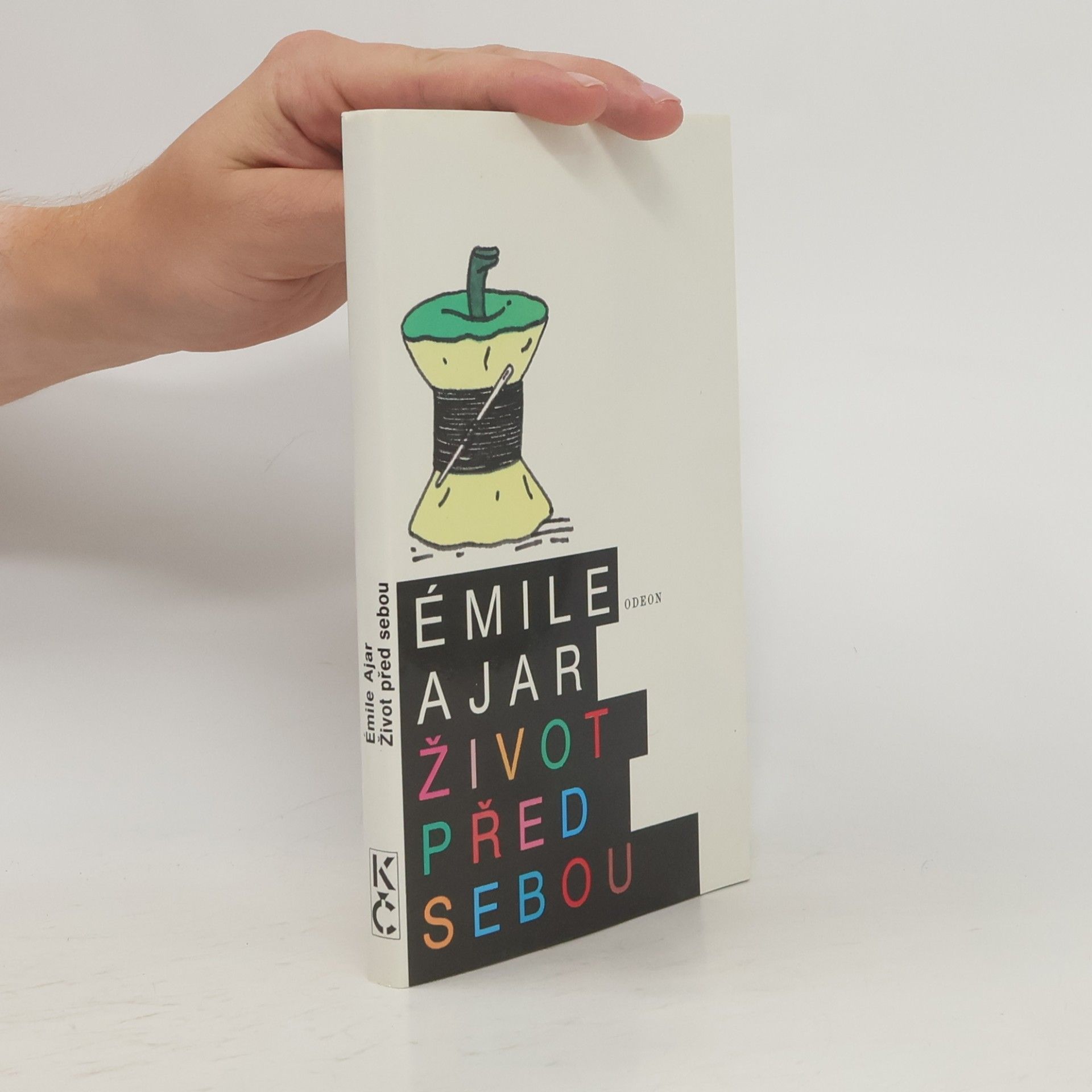 Romain Gary Život před sebou