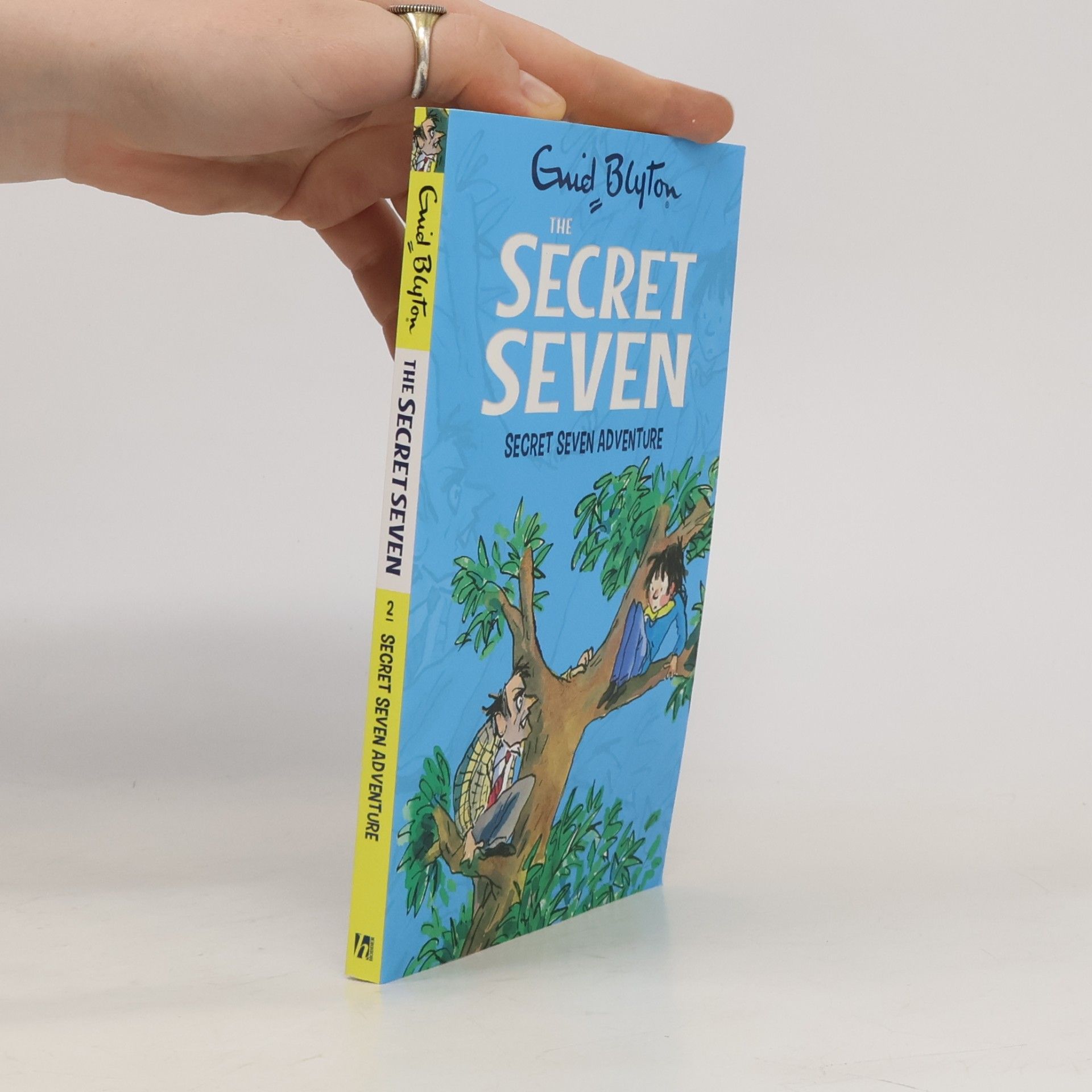 Enid Blyton Secret Seven: Secret Seven Adventure