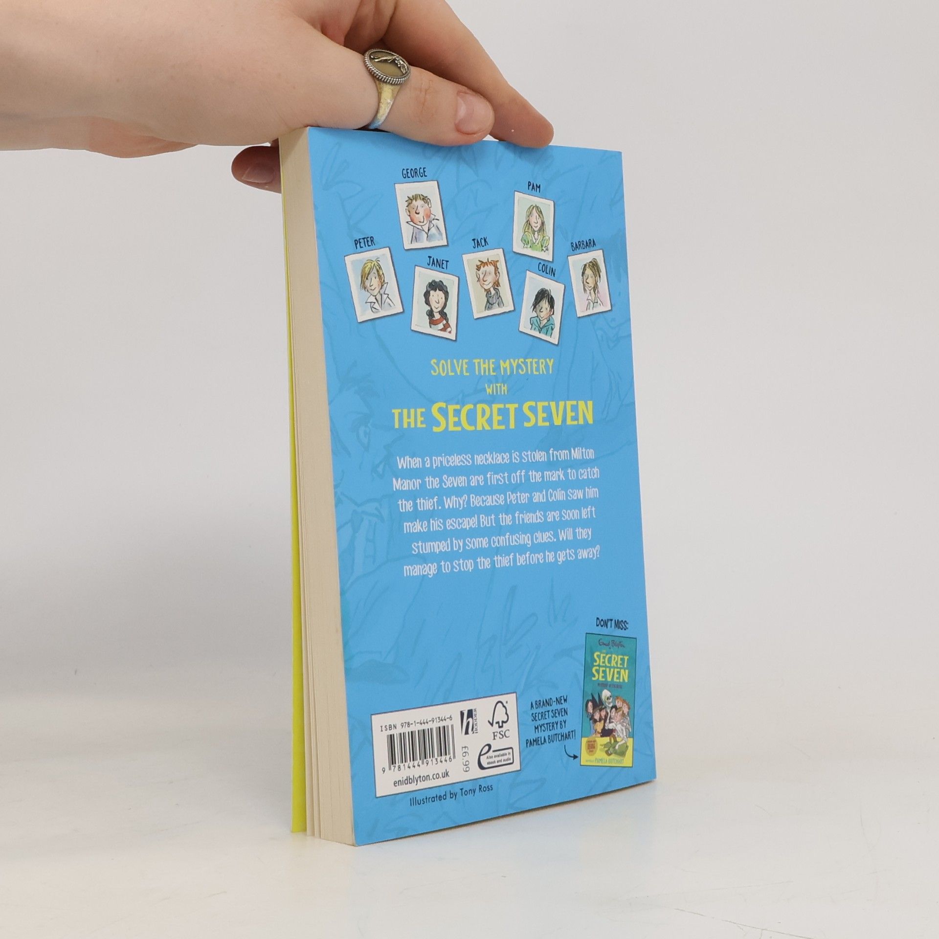 Enid Blyton Secret Seven: Secret Seven Adventure