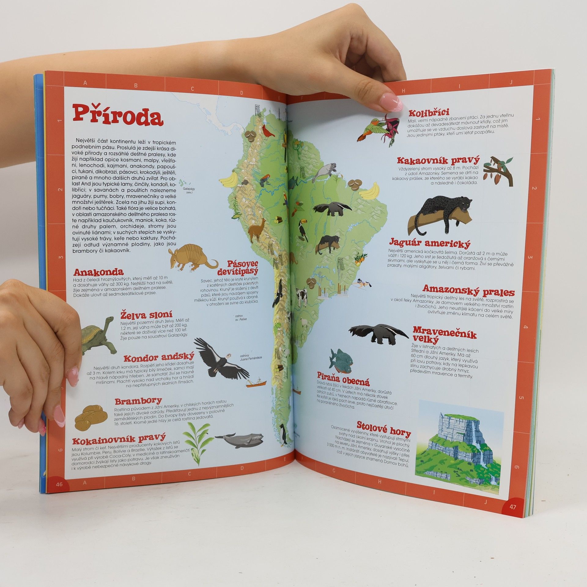 Jaroslav Synek Můj první atlas: Samolepky, rozkládací hry