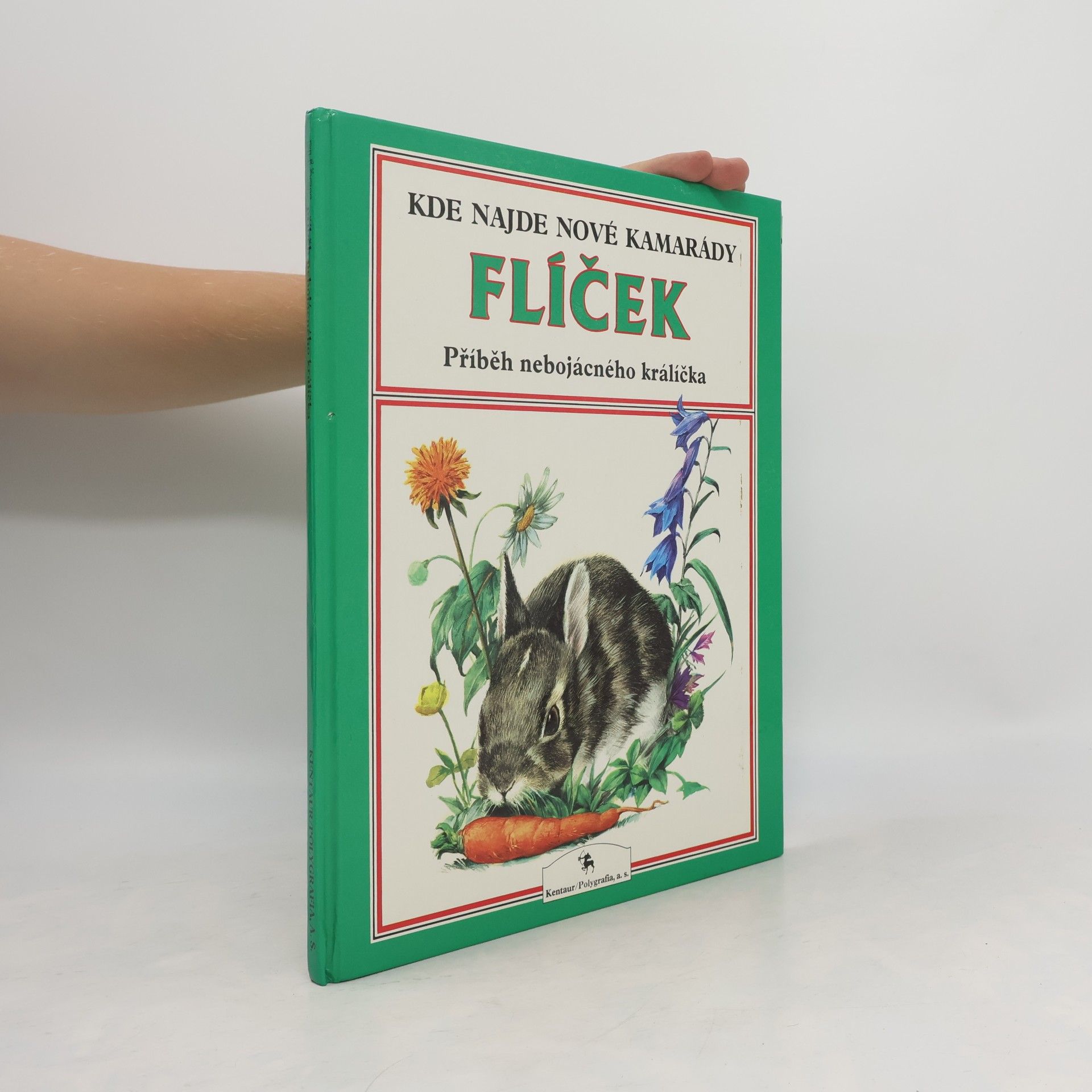 Flíček: Příběh nebojácného králíčka