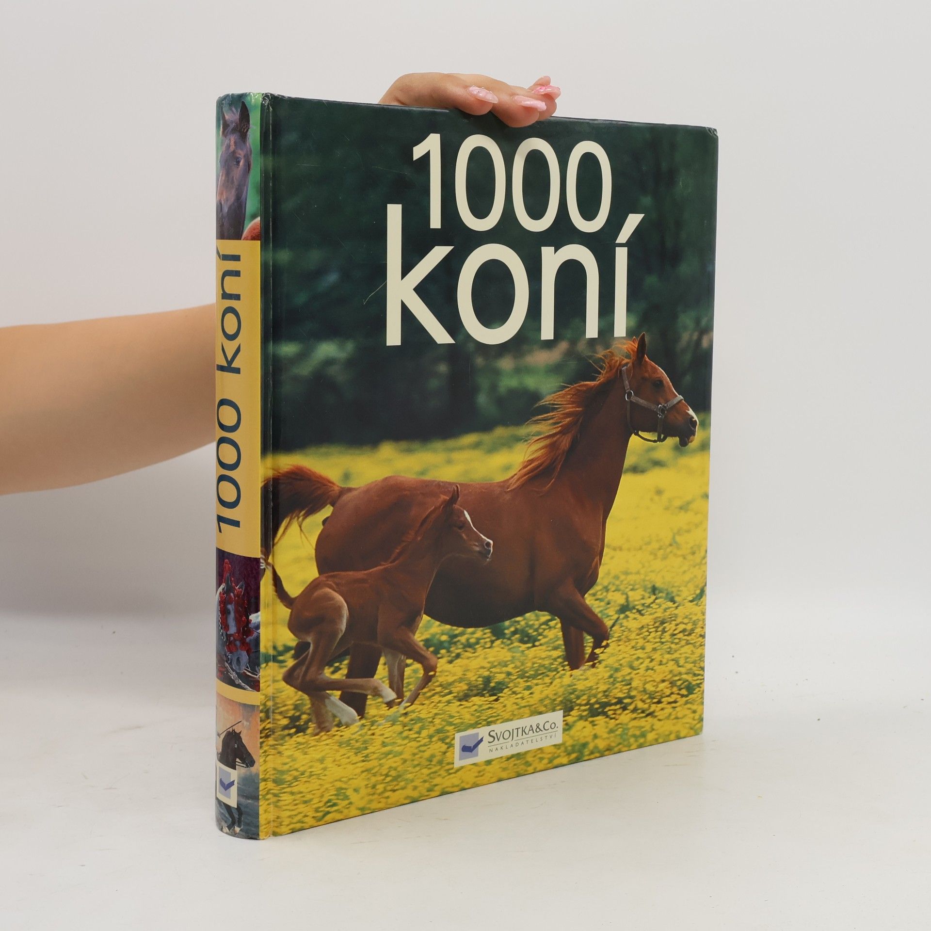 Ulrike Schöber 1000 koní