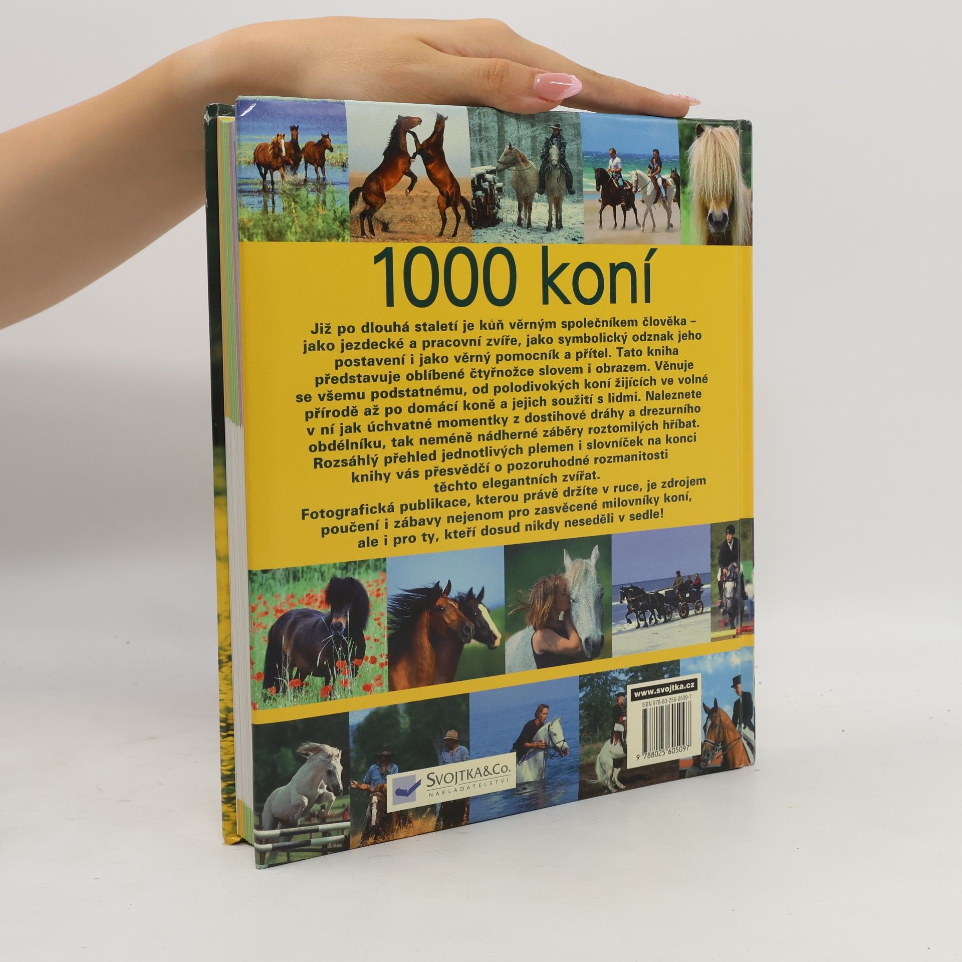 Ulrike Schöber 1000 koní