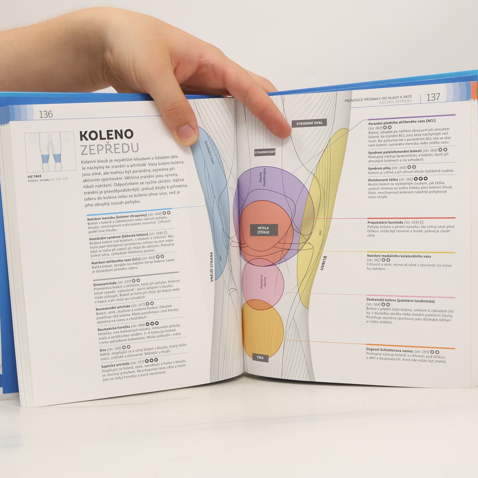 Kolektiv autorů Domácí lékař - Snadná diagnostika zdravotních obtíží