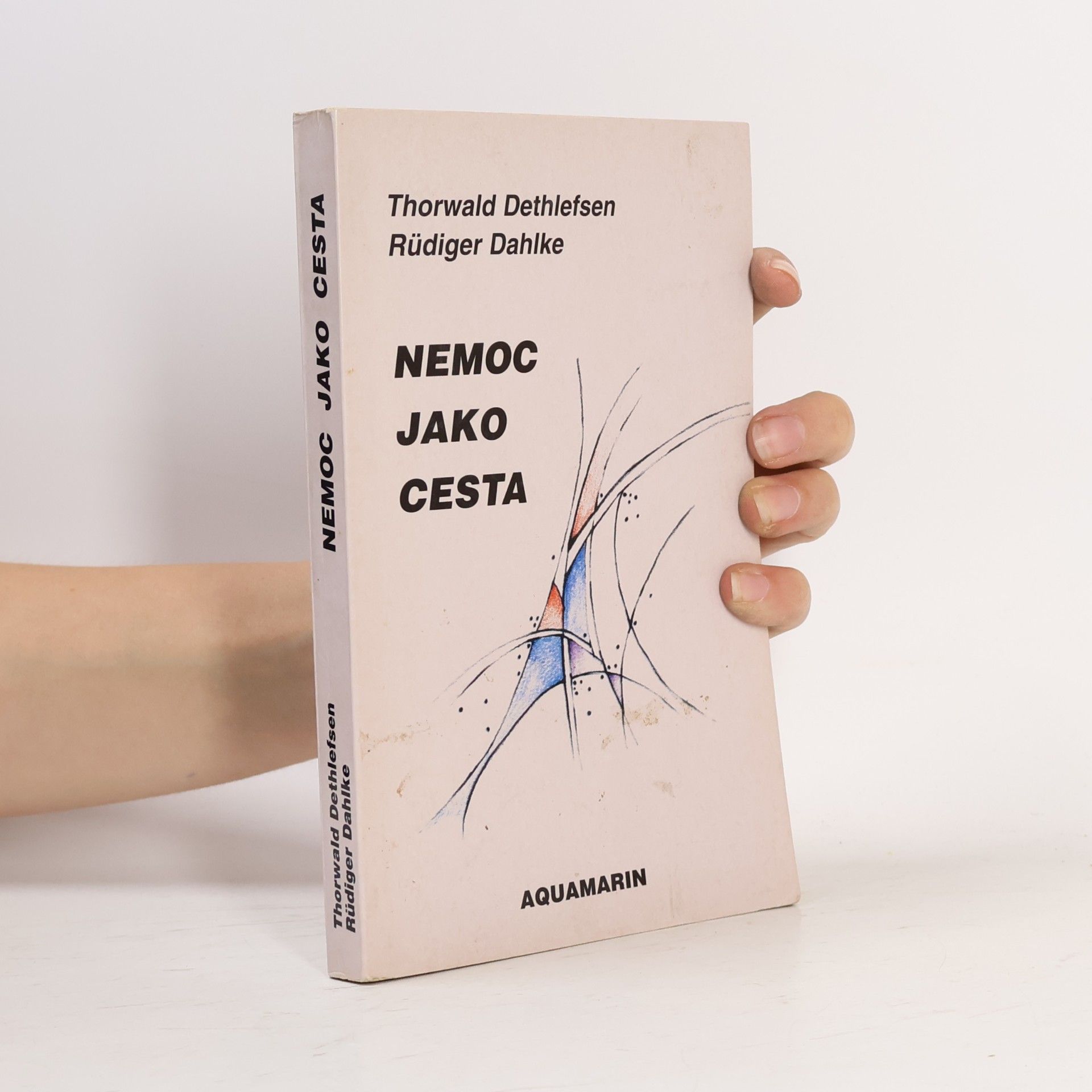 Thorwald Dethlefsen Nemoc jako cesta