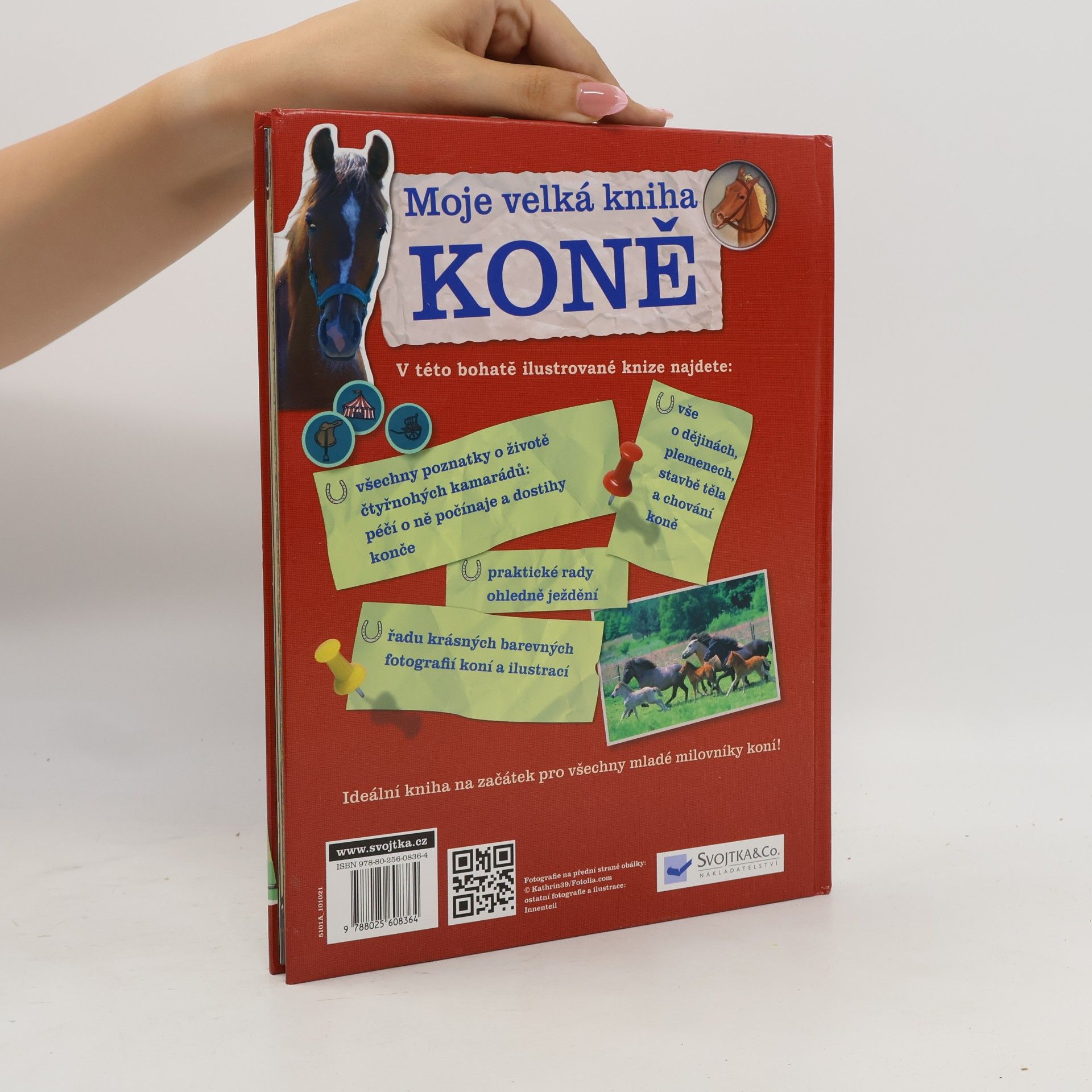 Giada Riondino Moje velká kniha: Koně