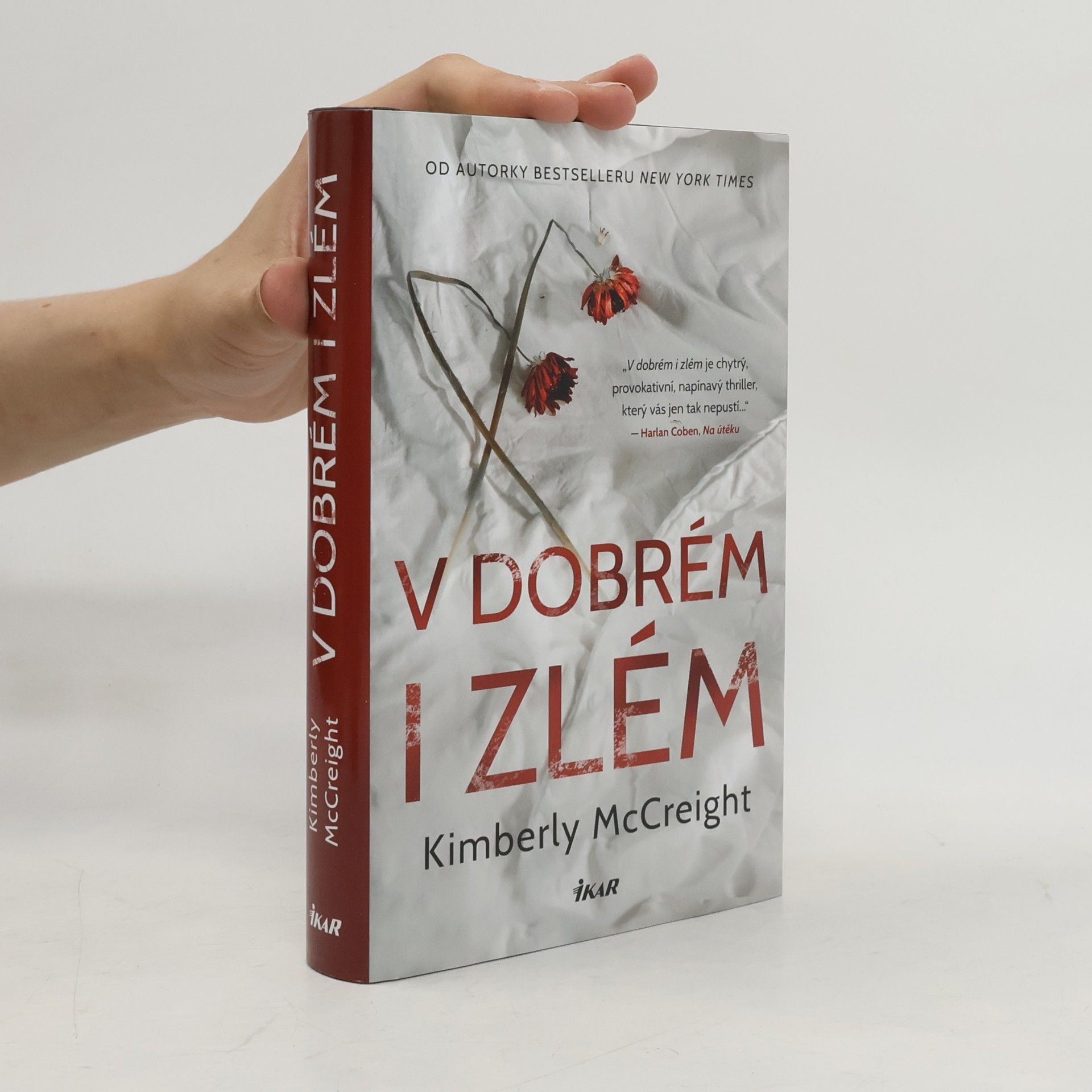 Kimberly McCreight V dobrém i zlém