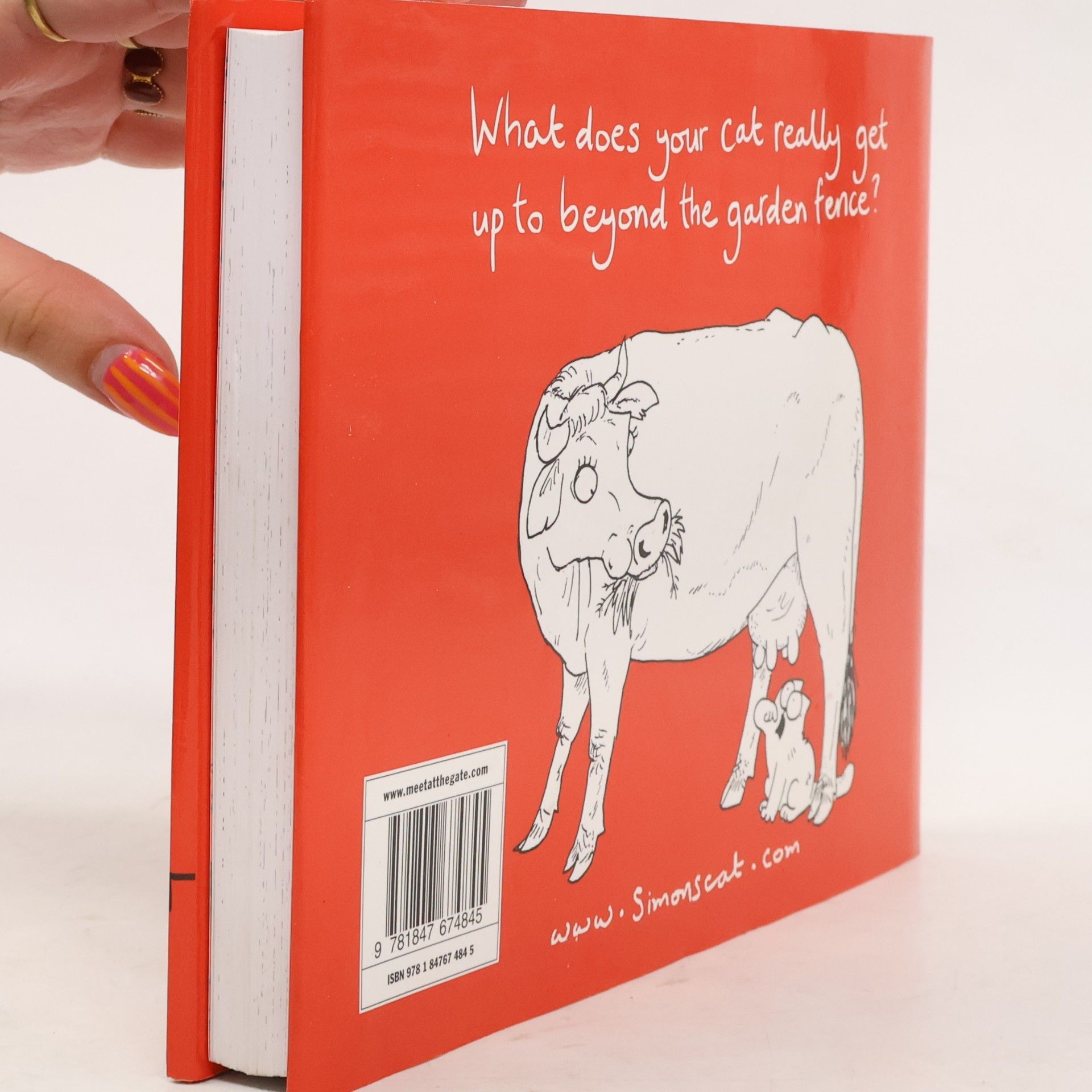Simon Tofield Simon's Cat: Beyond the Fence