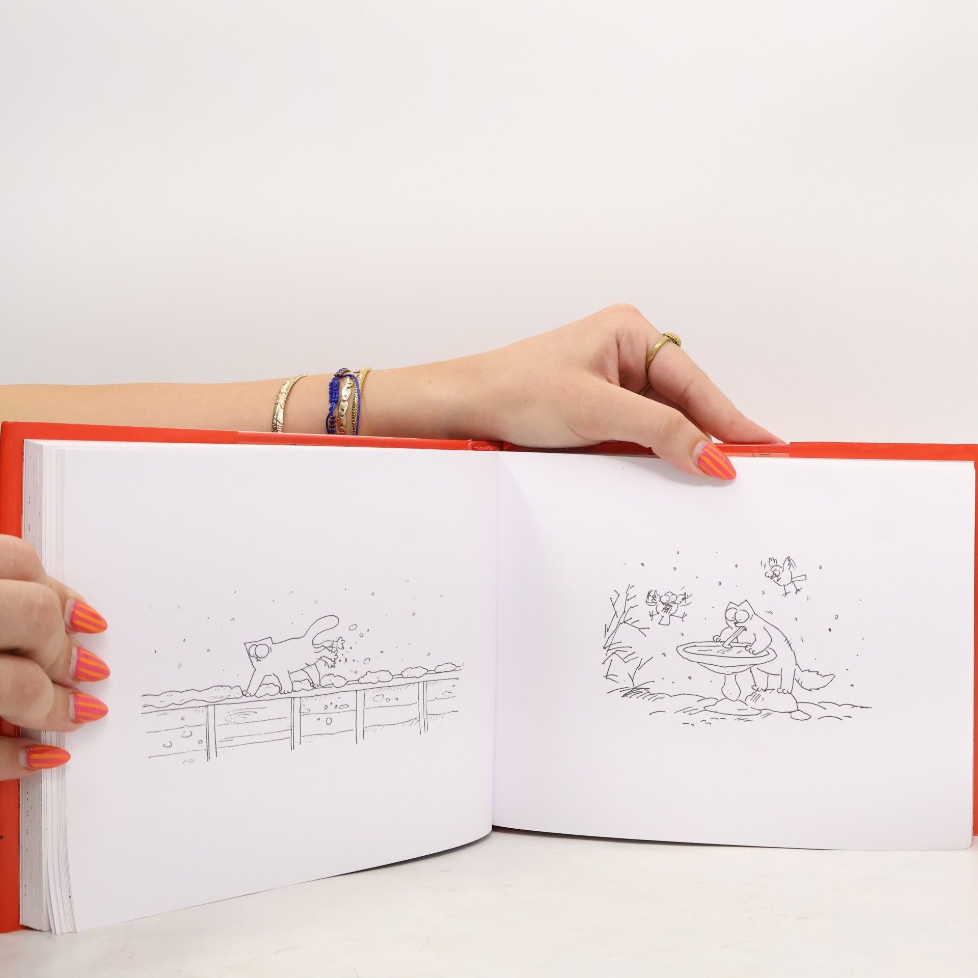 Simon Tofield Simon's Cat: Beyond the Fence