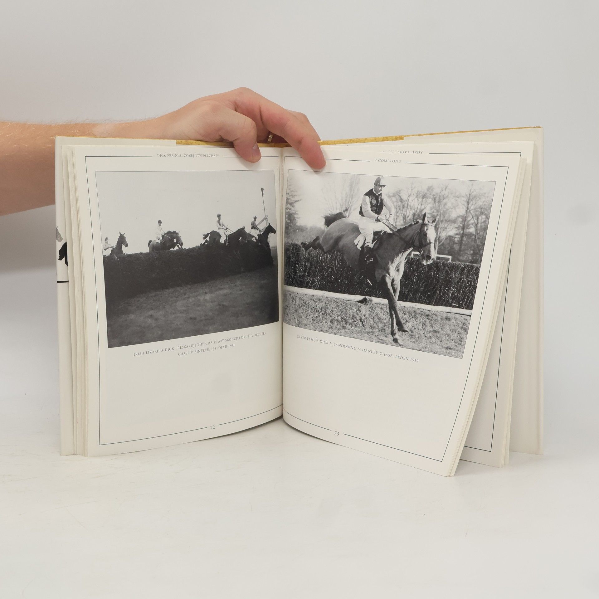 Bryony Fuller Dick Francis : žokej steeplechase