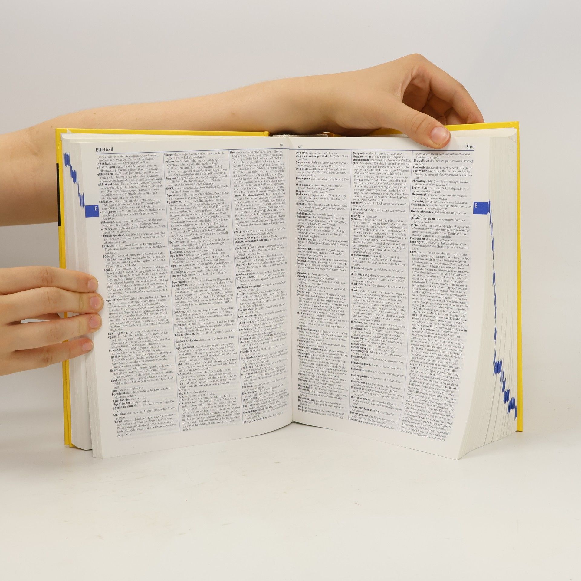 Annette Klosa Duden, Deutsches Universalwörterbuch
