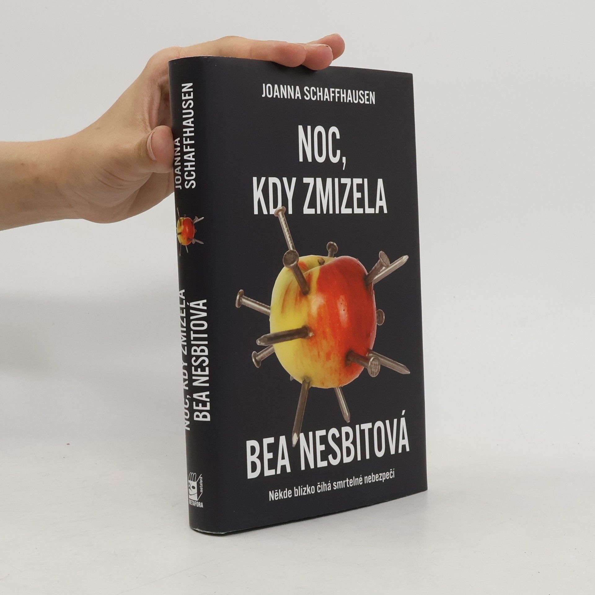 Joanna Schaffhausen Noc, kdy zmizela Bea Nesbitová