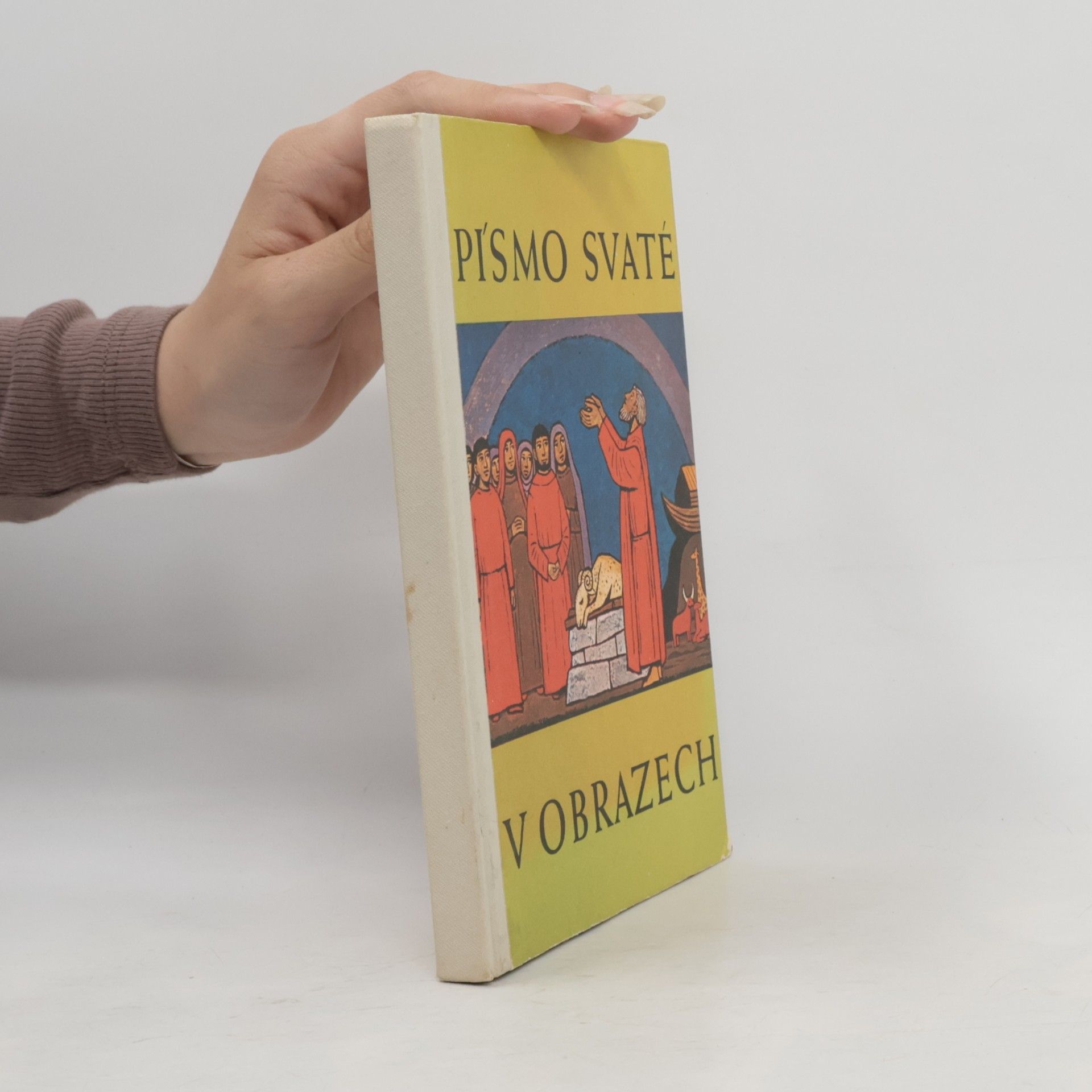 Autorenkollektiv Písmo svaté v obrazech