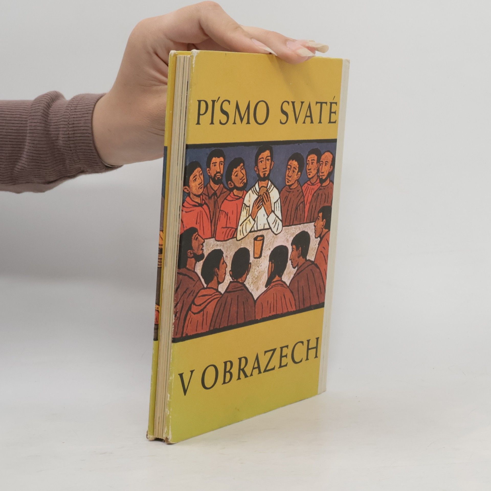 Kolektiv autorů Písmo svaté v obrazech
